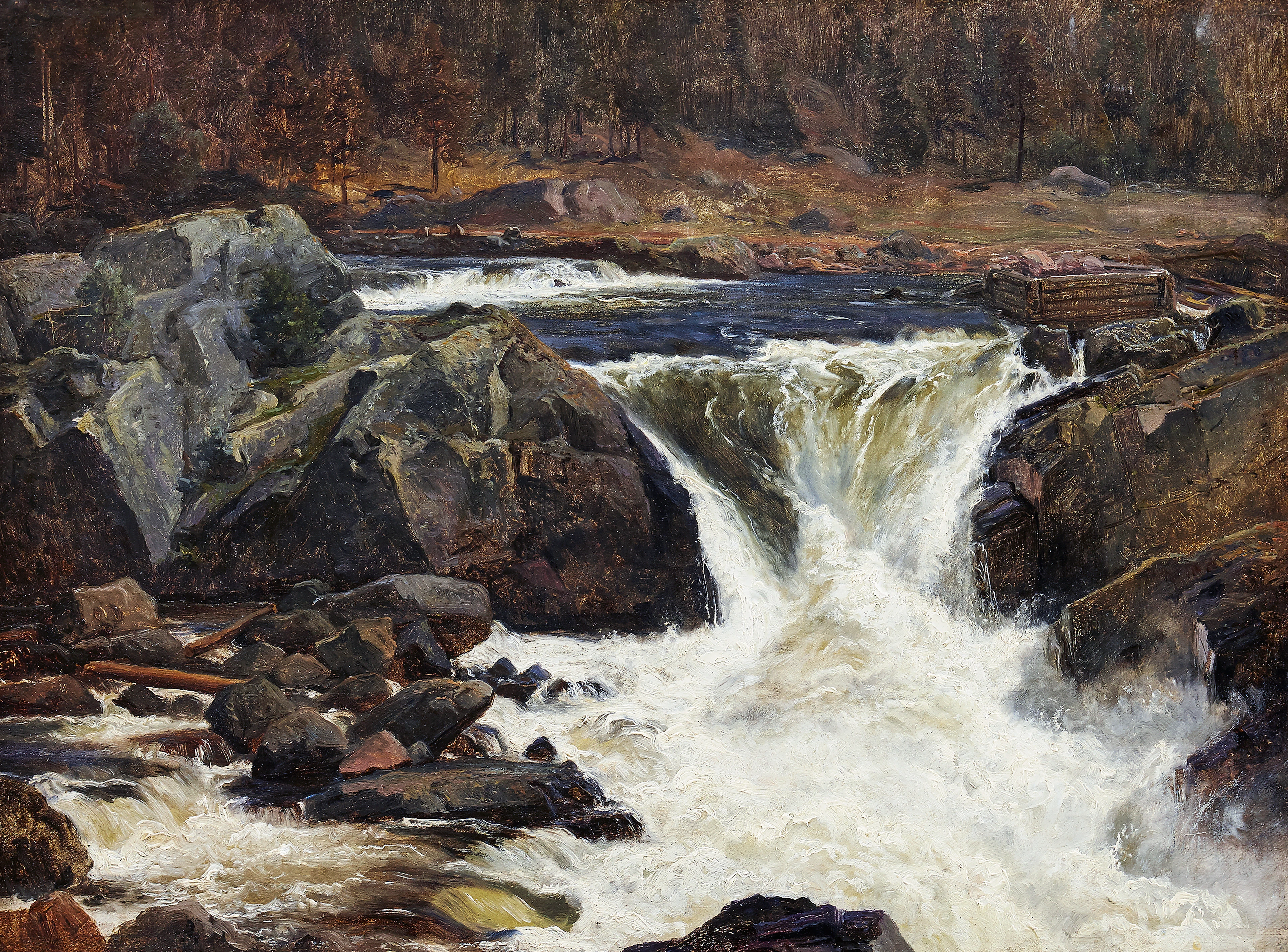Edvard Bergh