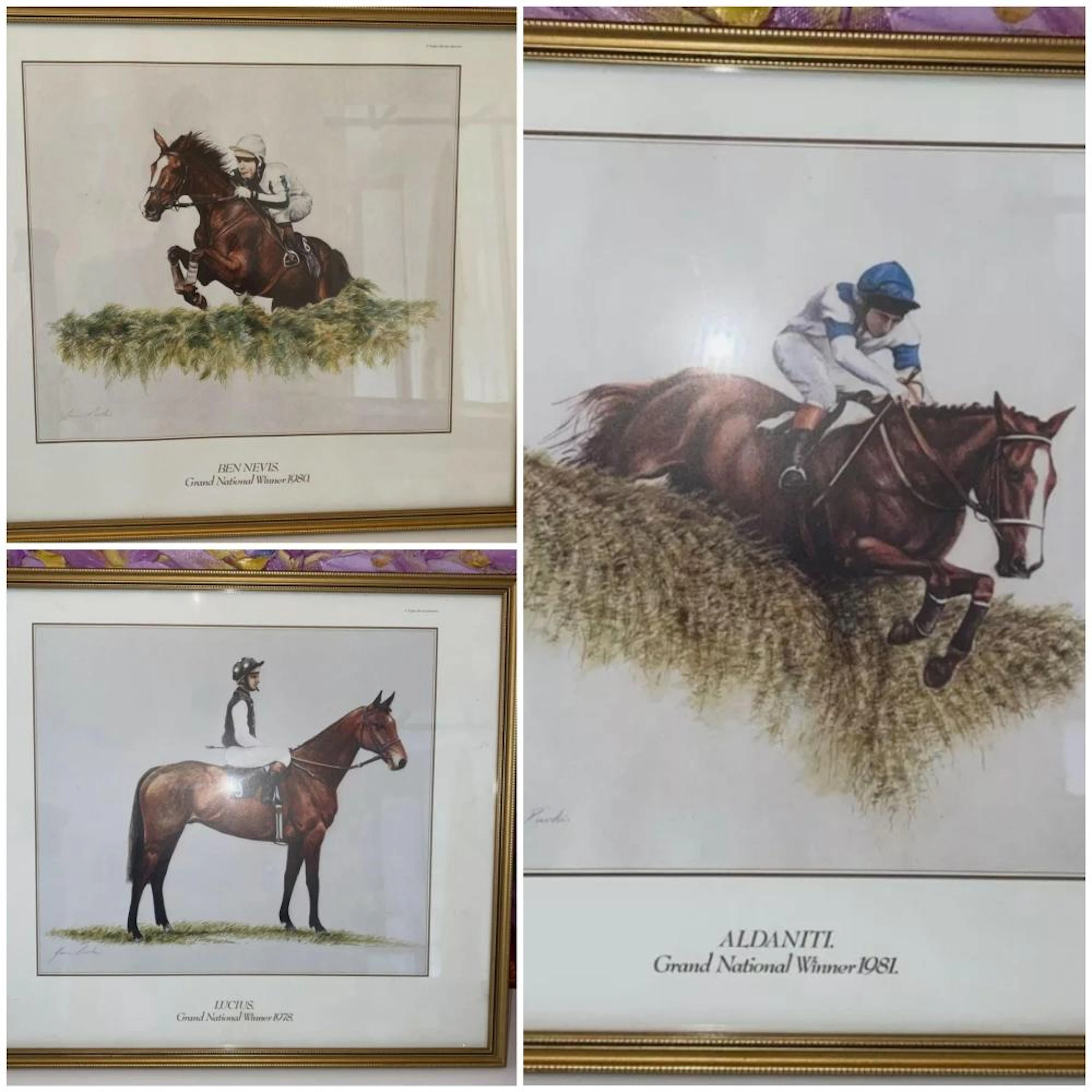 Lot 13 - Grand National Winners - 3 framed pictures Lucius, Ben Nevis & Aldaniti