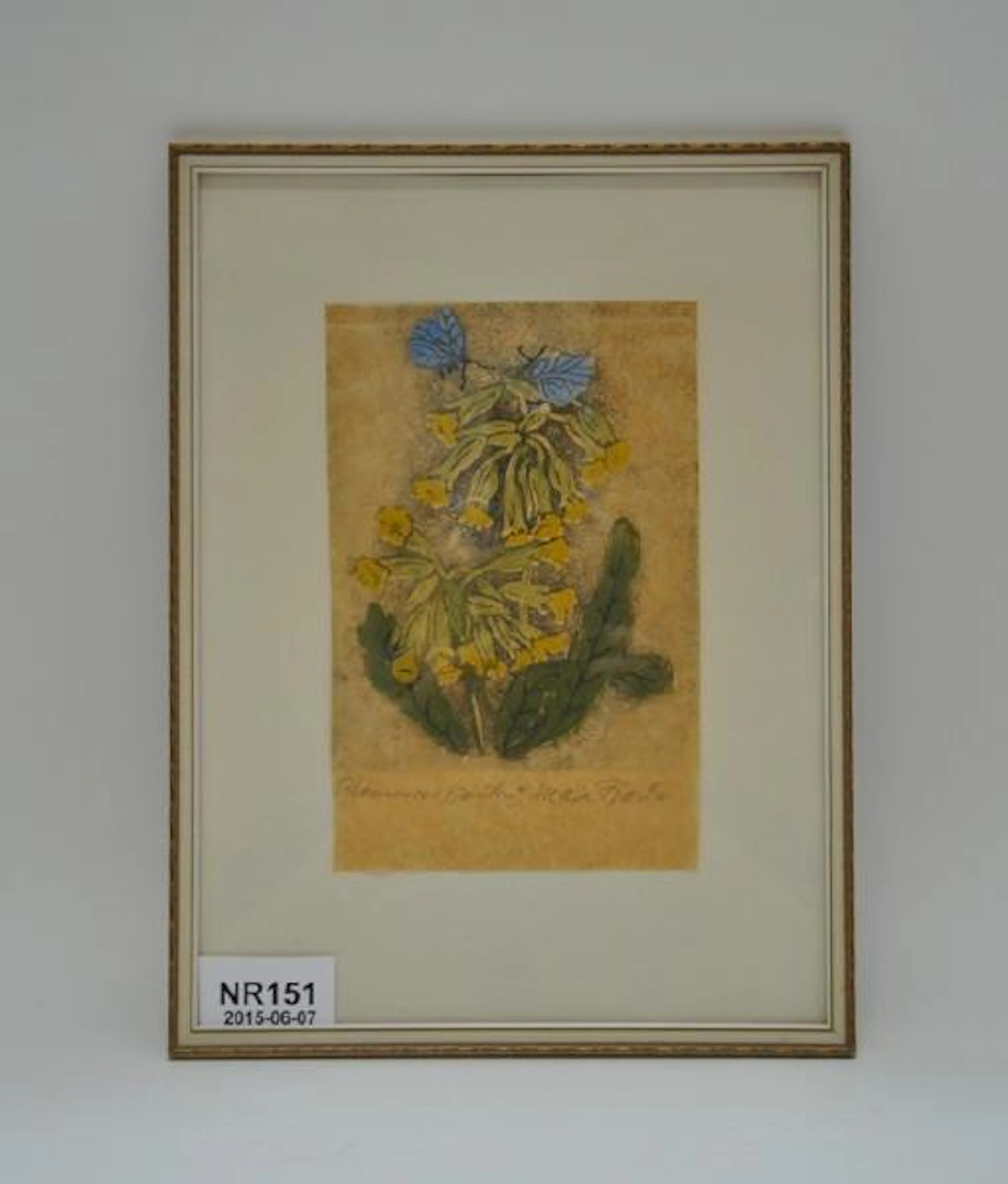 Maja Fjaestad 1873-1961