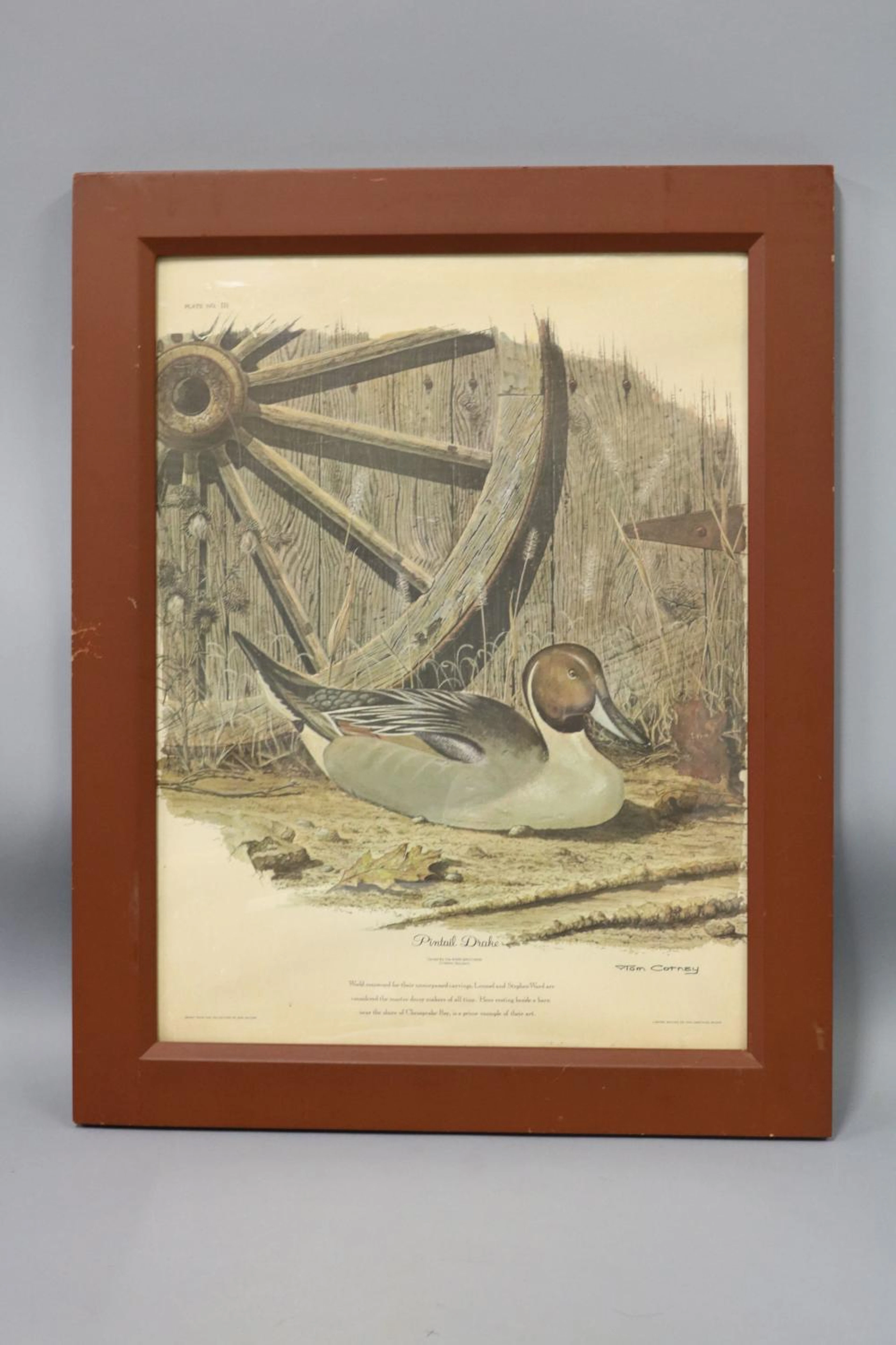 Framed Poster by Tom Cotney