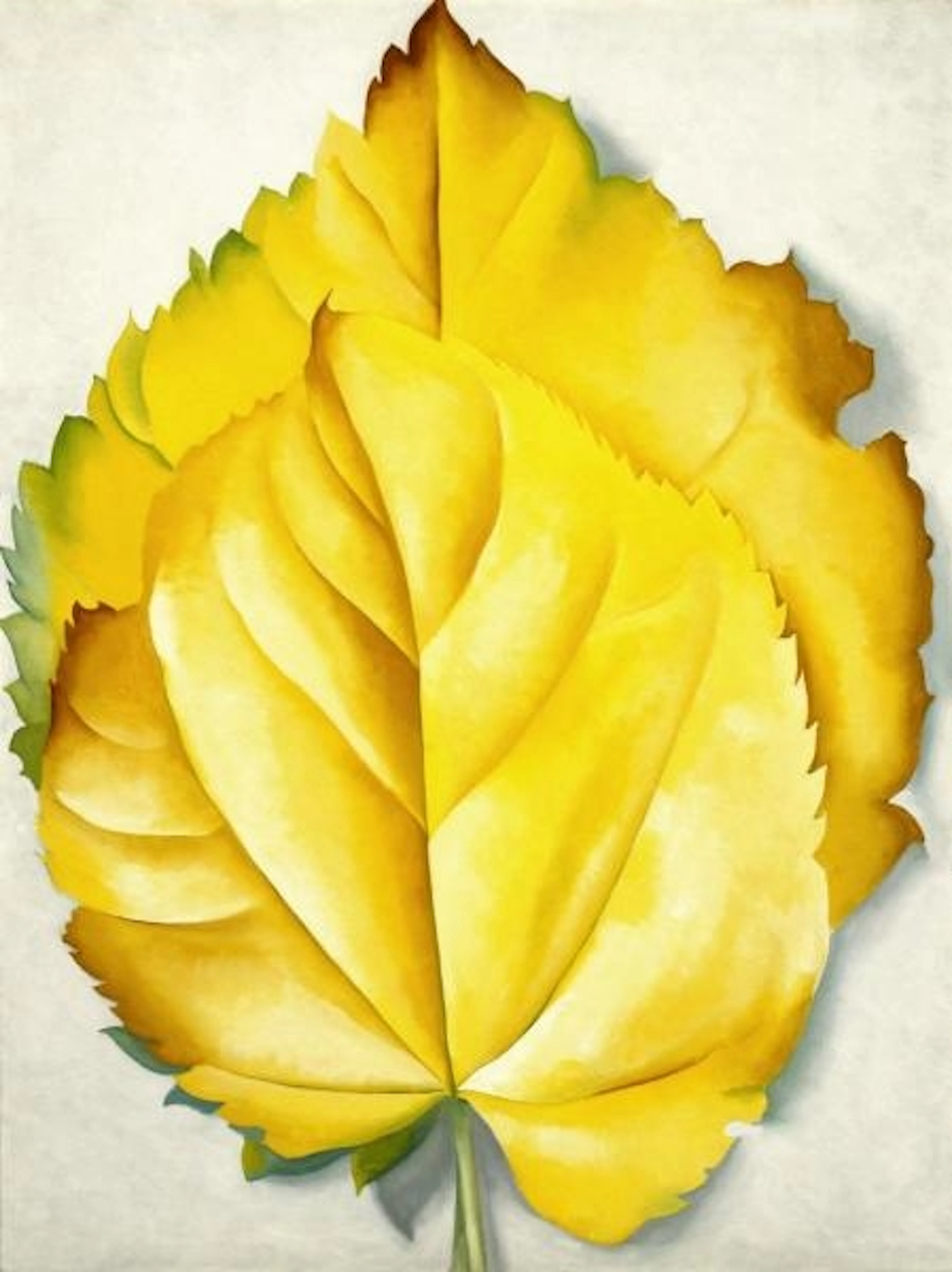 Georgia O'keeffe - 2 Yellow Leaves (yellow Leaves), 1928