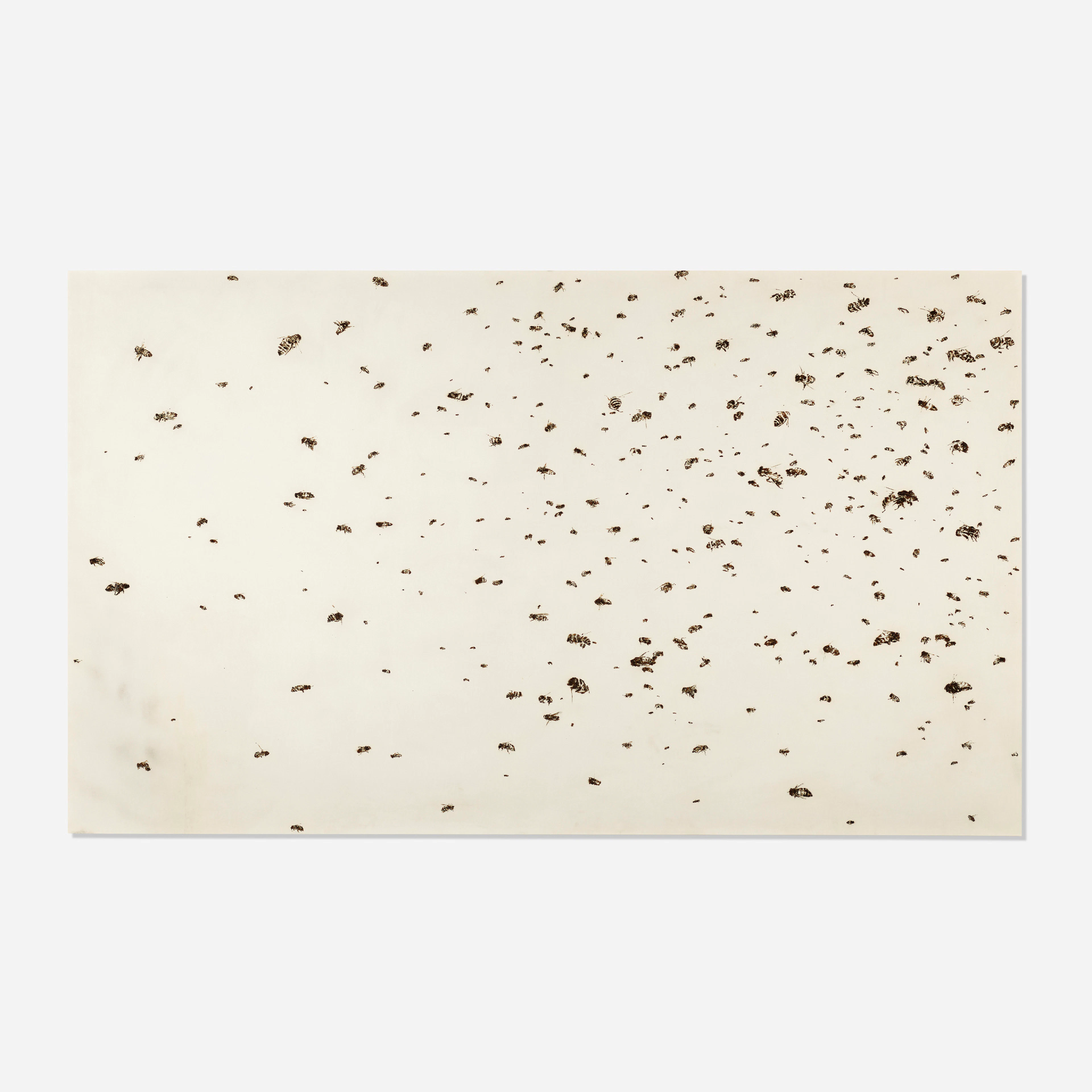 Bees of Bees 1 (from the Honeybees series) – Matthew Brandt