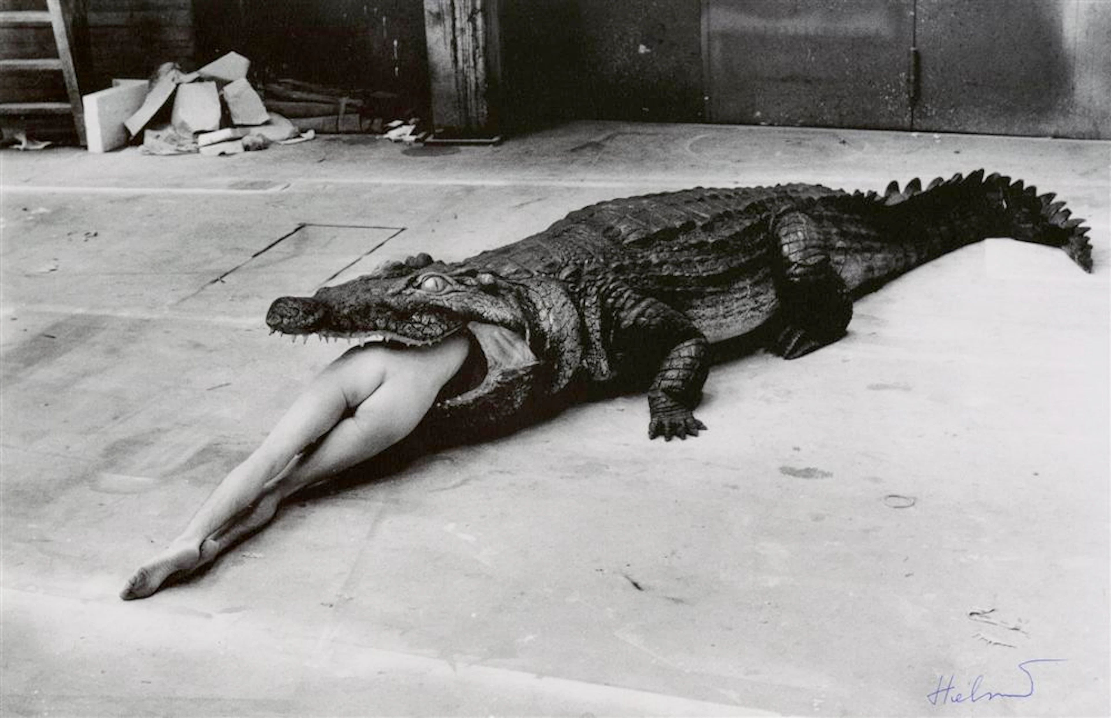 HELMUT NEWTON - Photolithograph