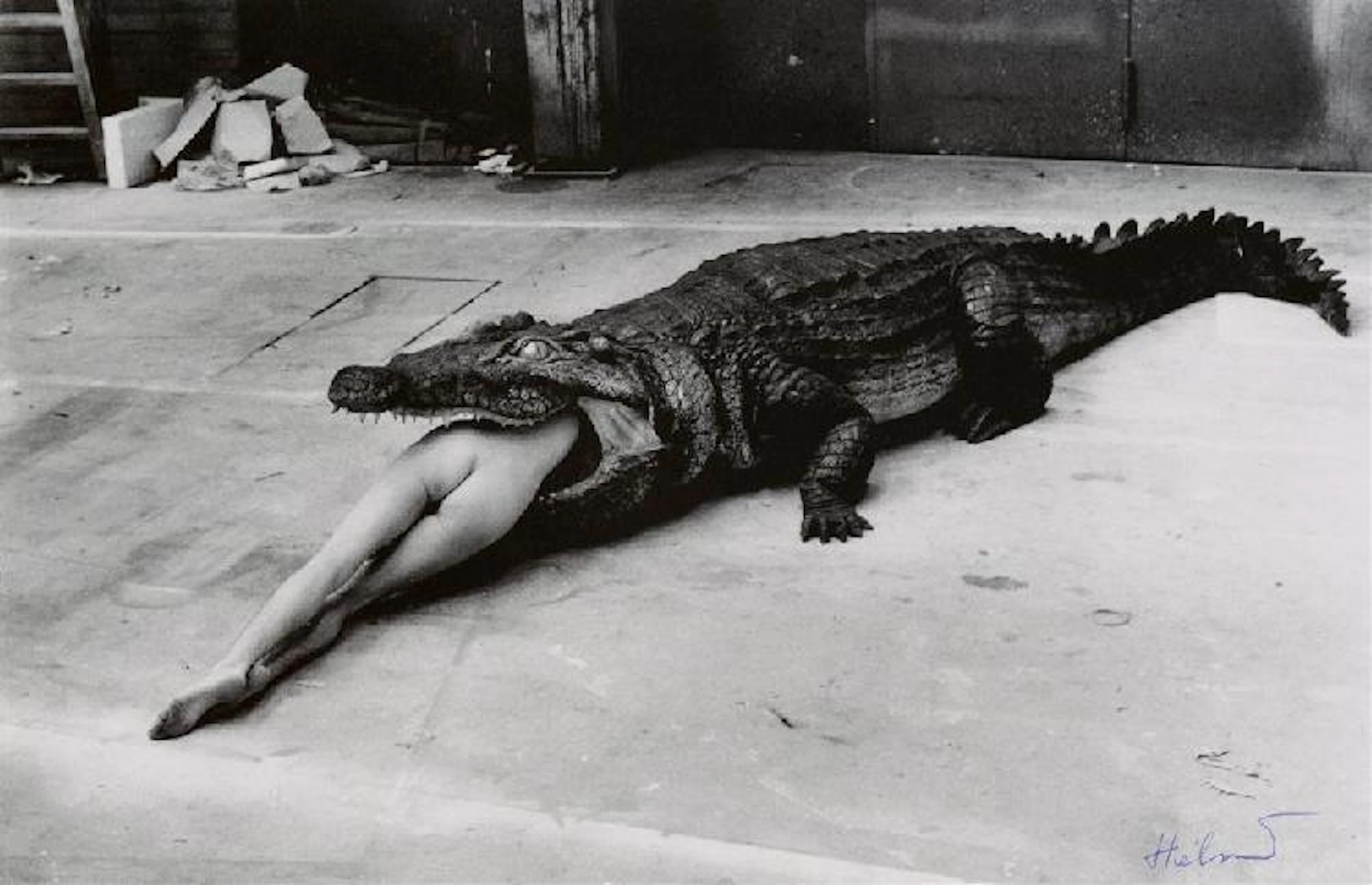 HELMUT NEWTON - Photolithograph