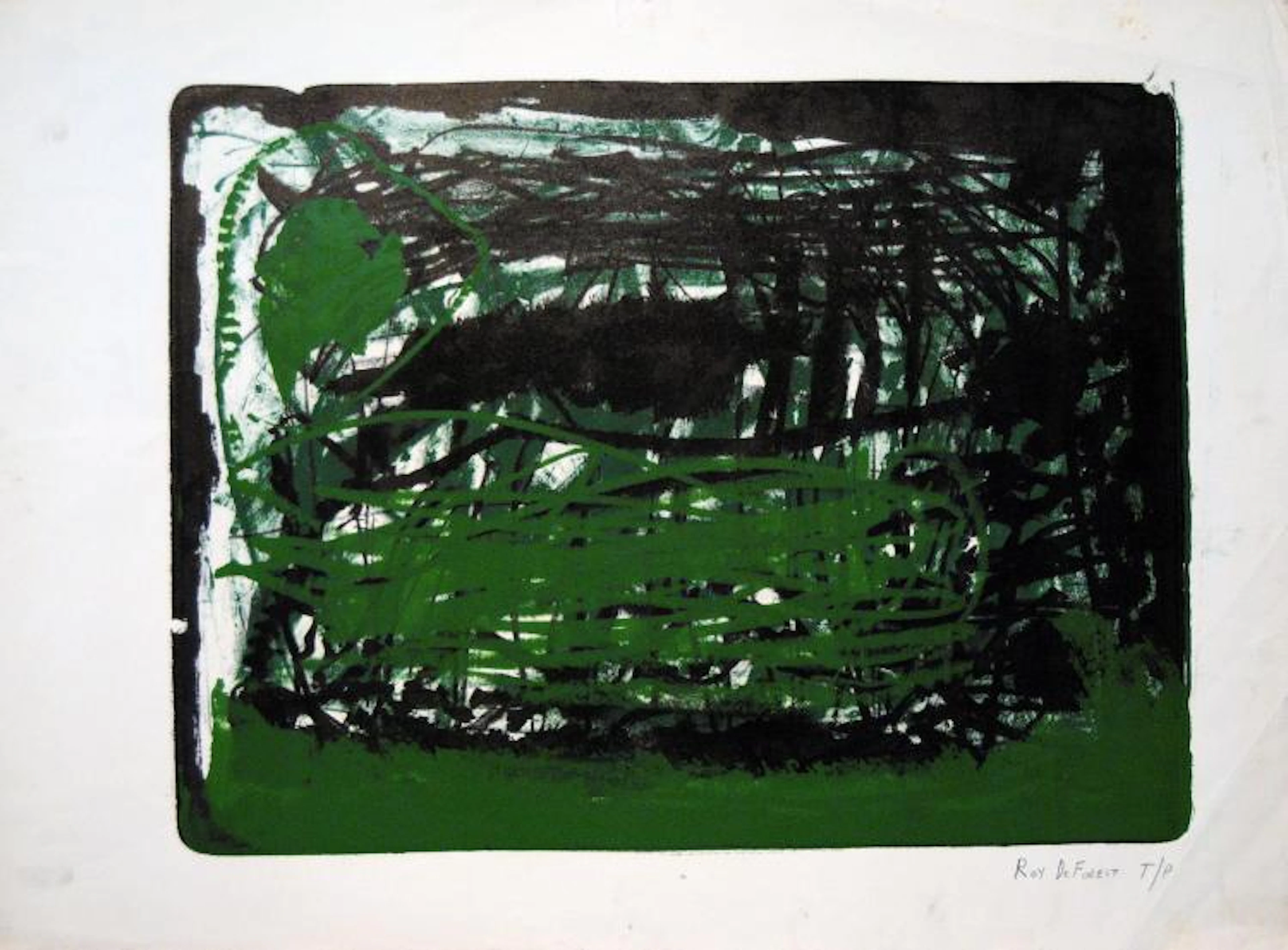 ROY DE FOREST - Green & Black