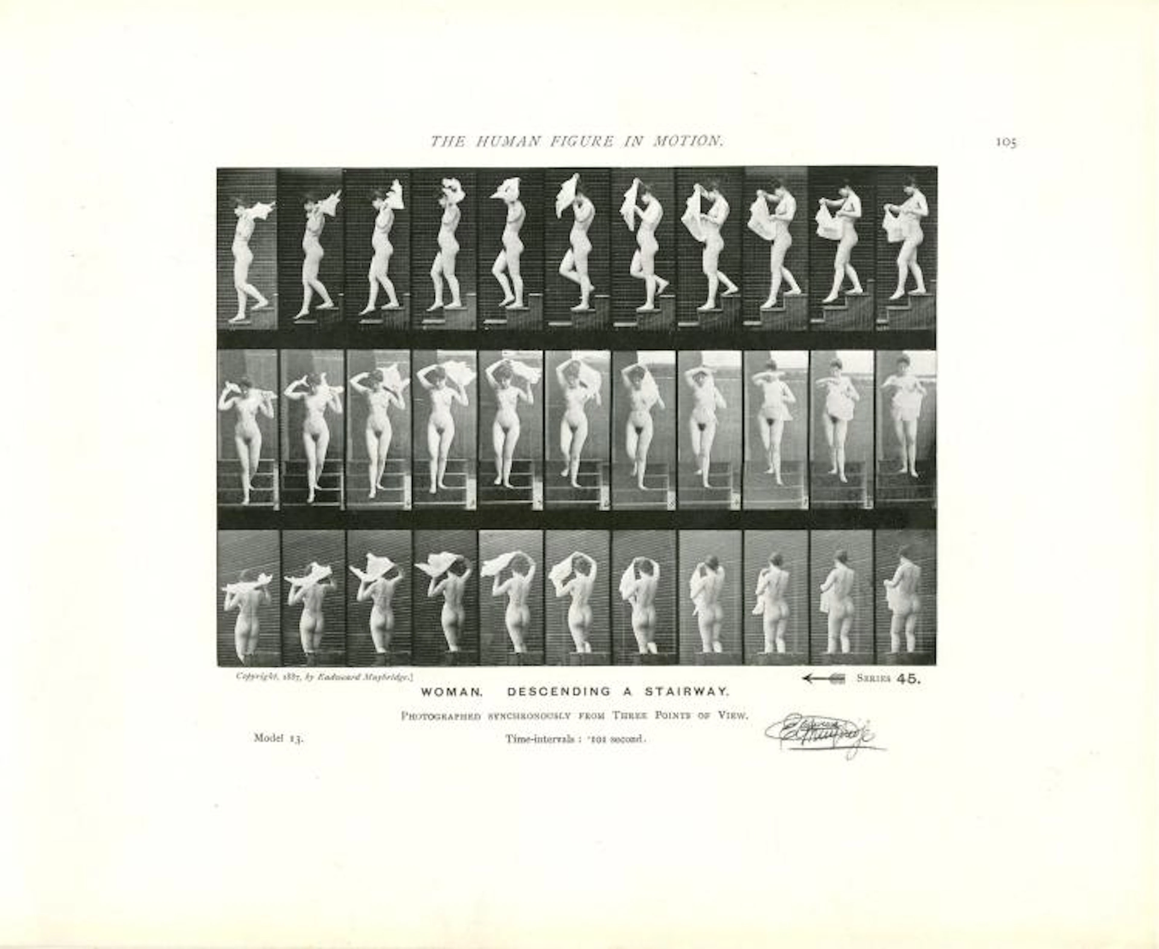 EADWEARD MUYBRIDGE - Woman: Descending a Stairway