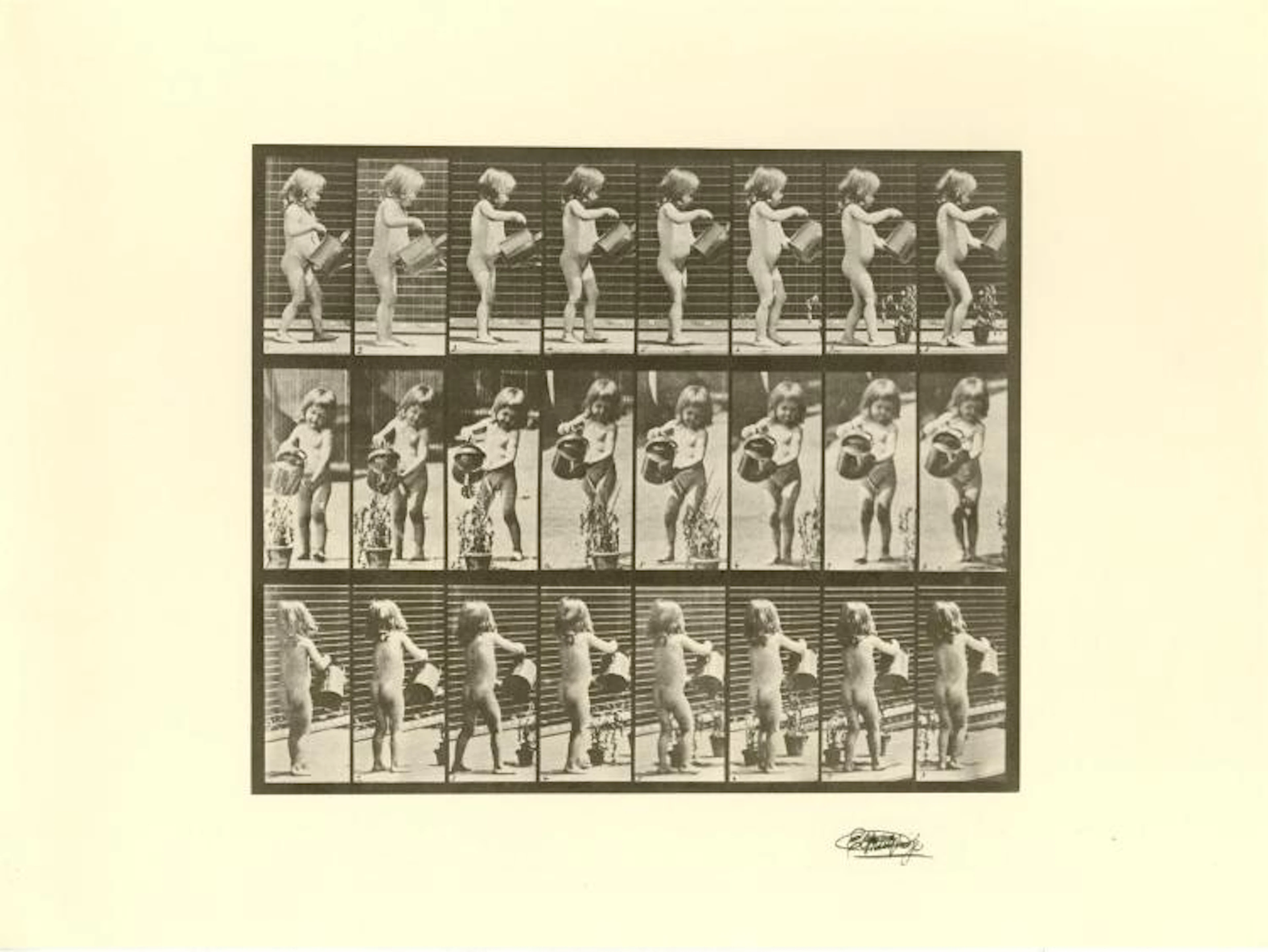EADWEARD MUYBRIDGE [d'apres] - Girl Watering