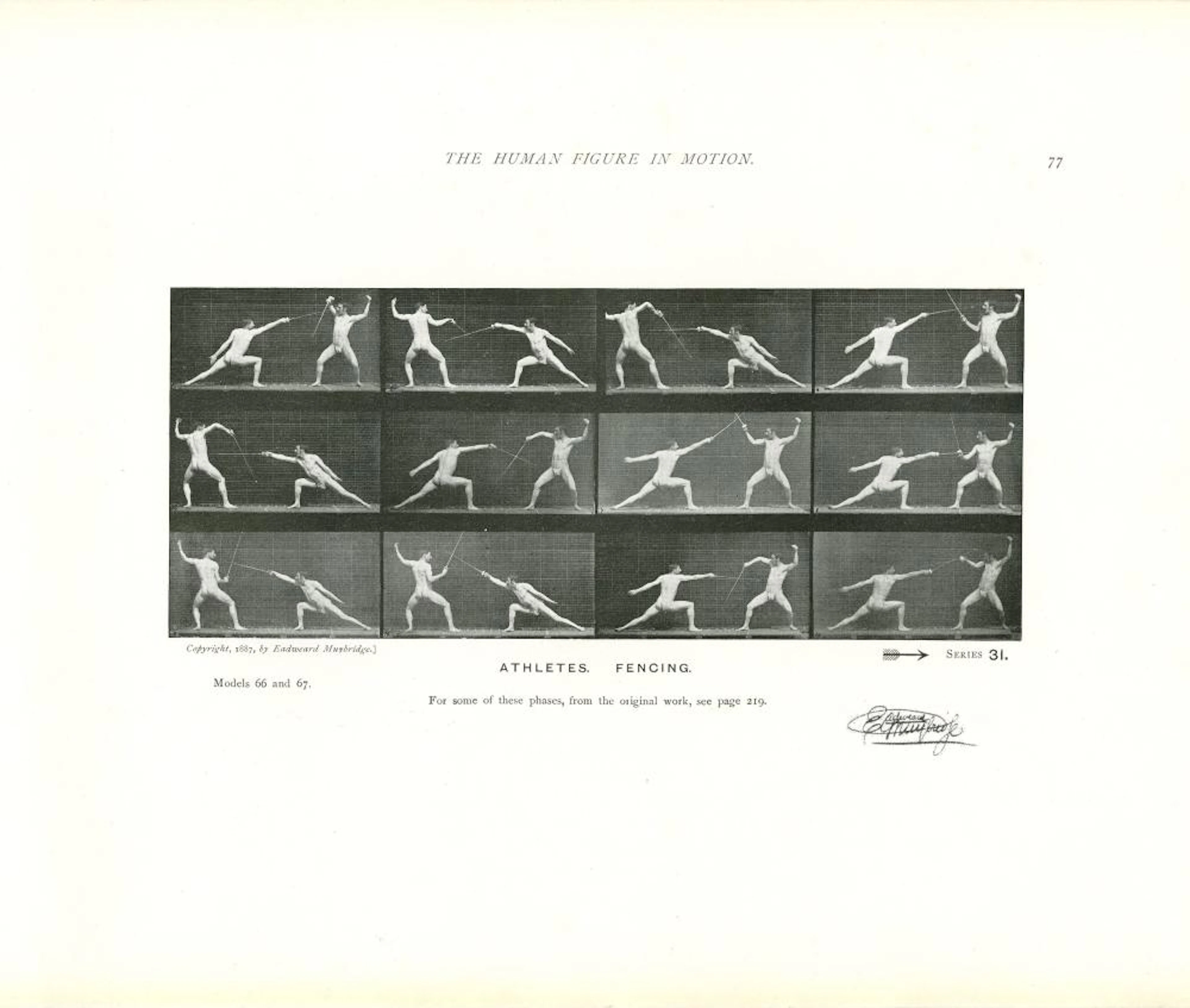 EADWEARD MUYBRIDGE - Athletes: Fencing