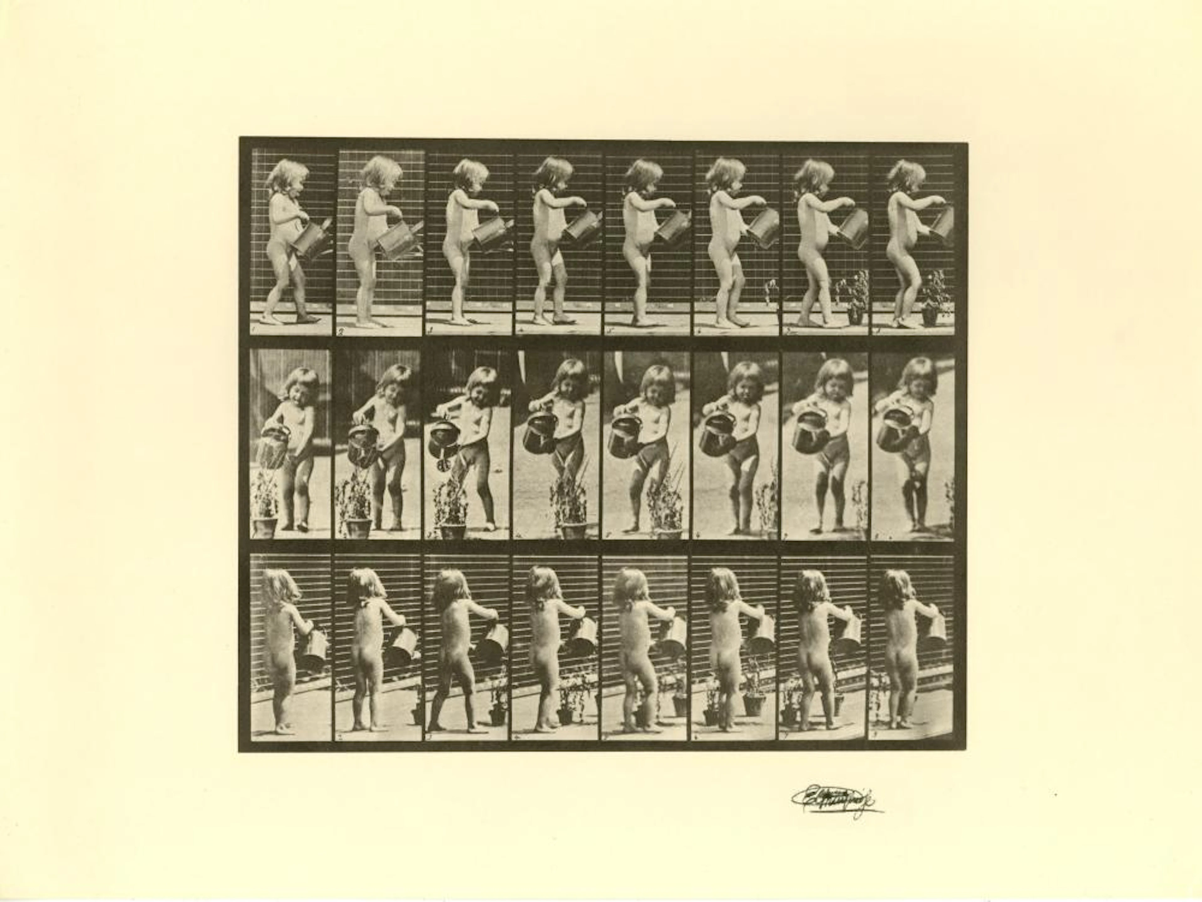 EADWEARD MUYBRIDGE [d'apres] - Girl Watering