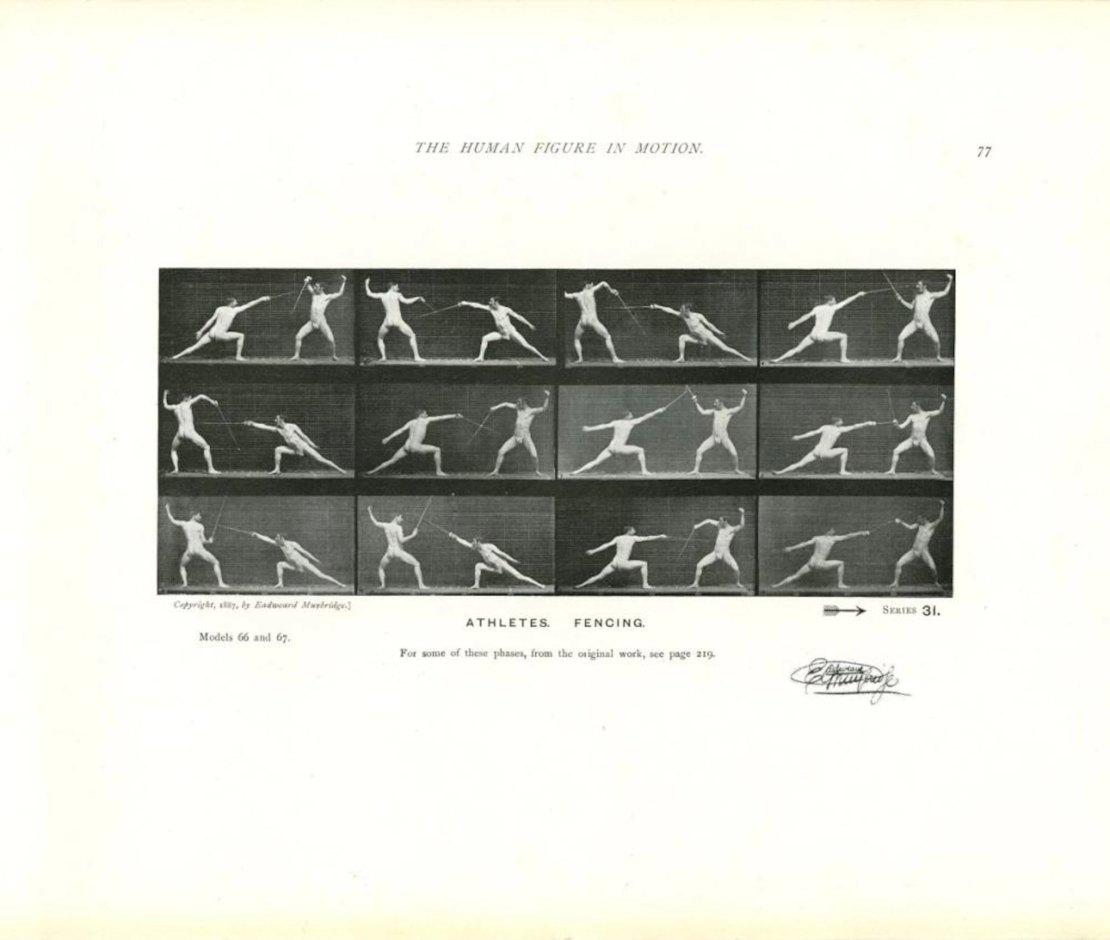 EADWEARD MUYBRIDGE - Athletes: Fencing