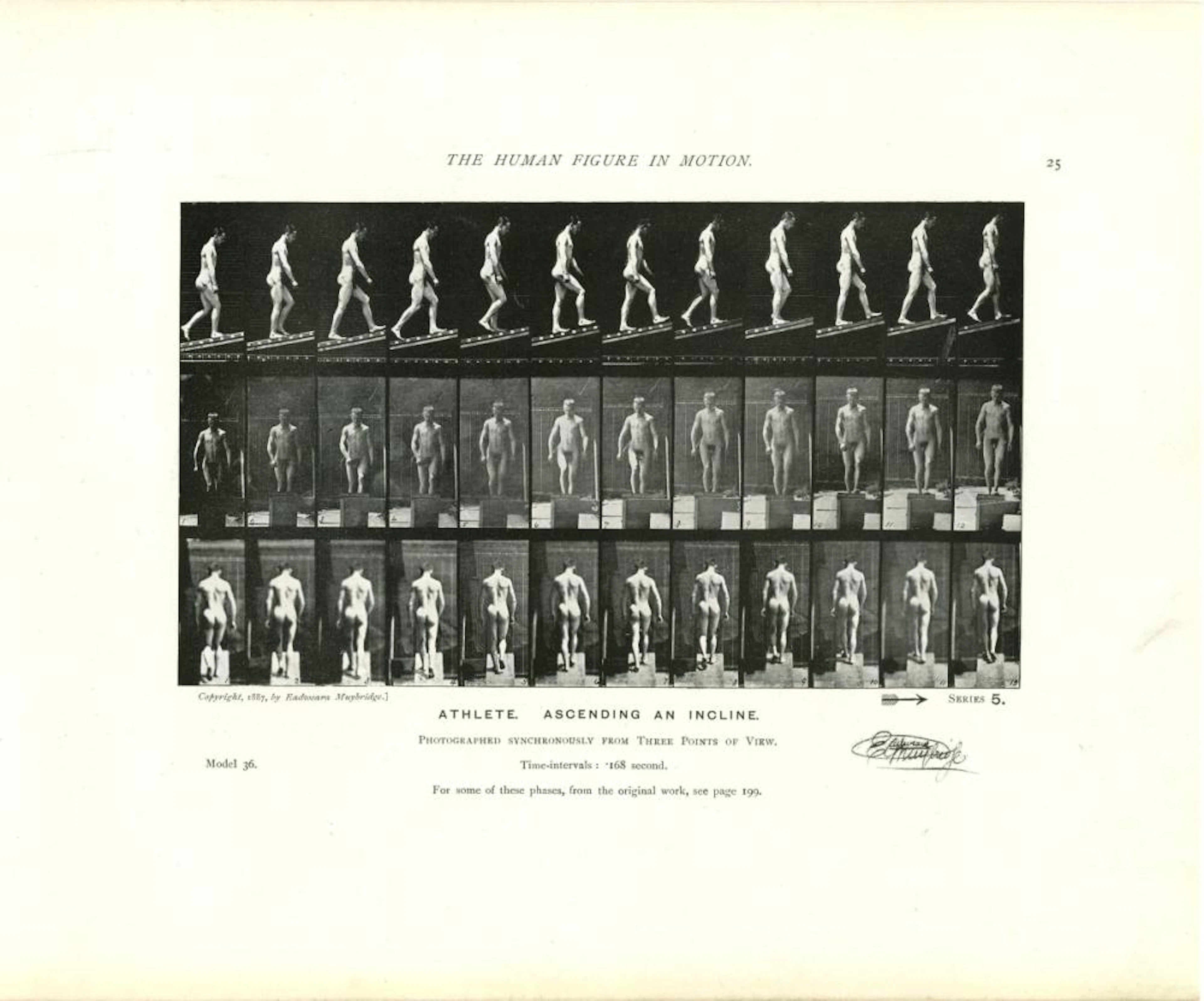 EADWEARD MUYBRIDGE - Athlete: Ascending an Incline