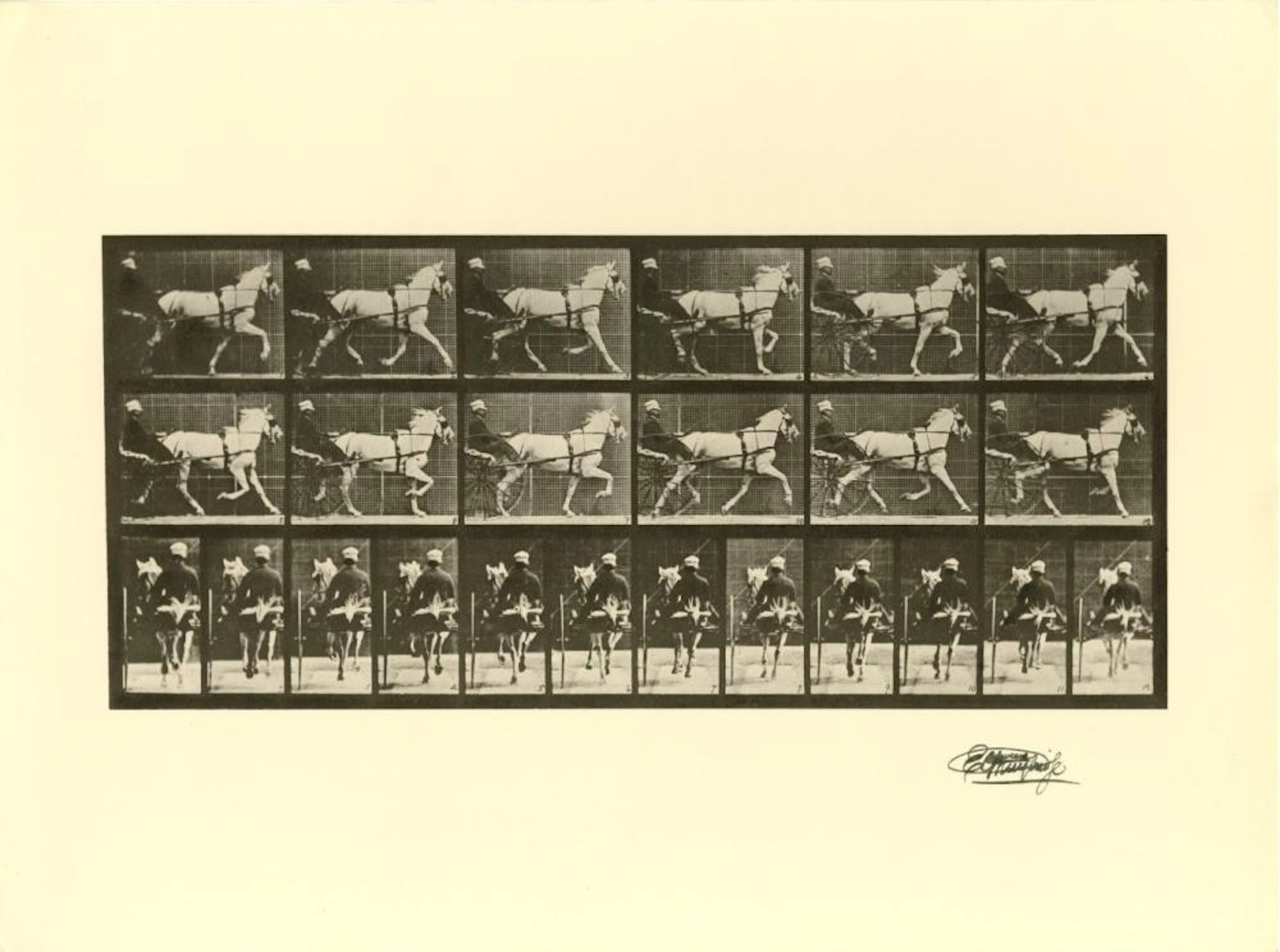 EADWEARD MUYBRIDGE - Trotting Horse with Sulky