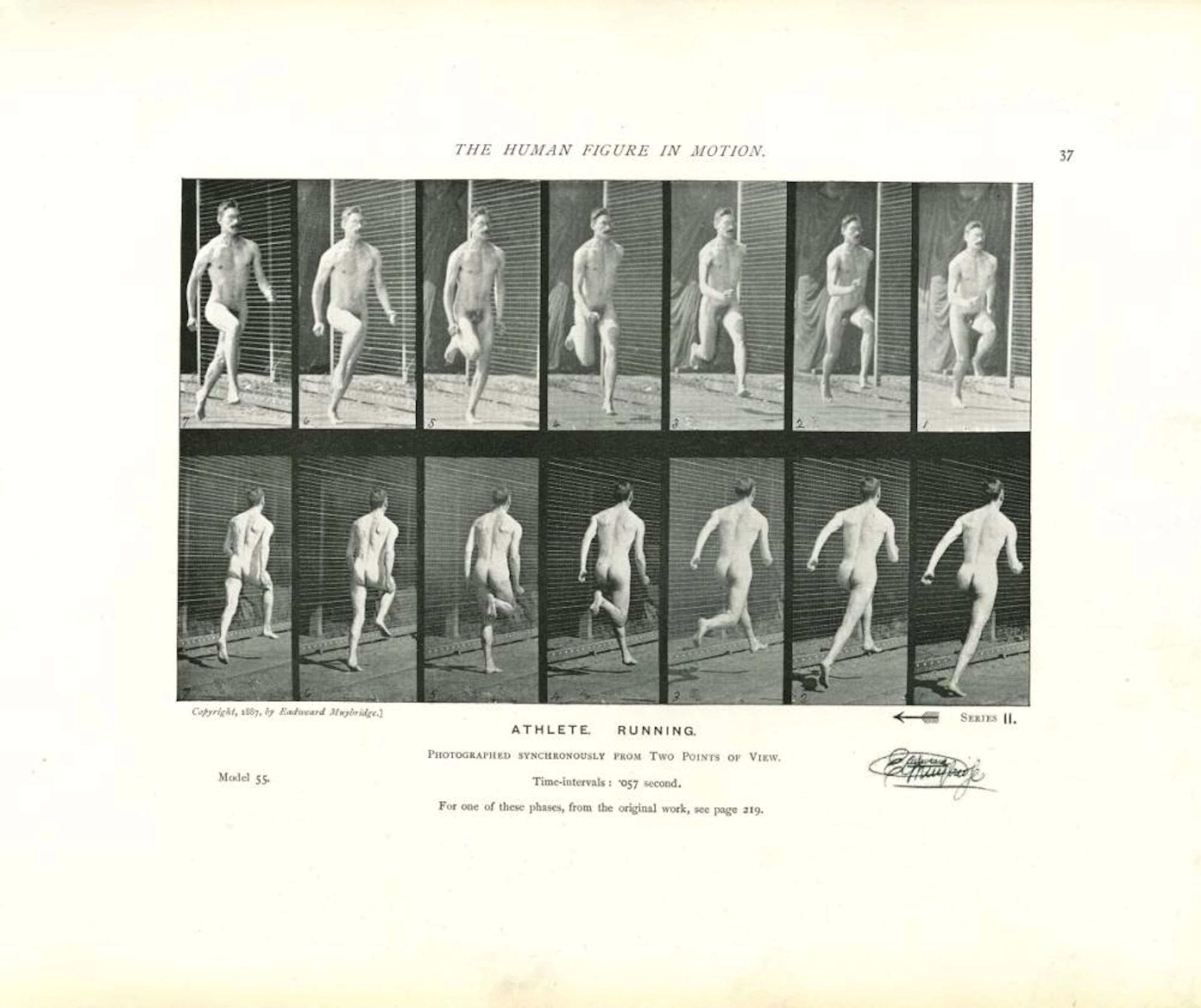EADWEARD MUYBRIDGE - Athlete: Running