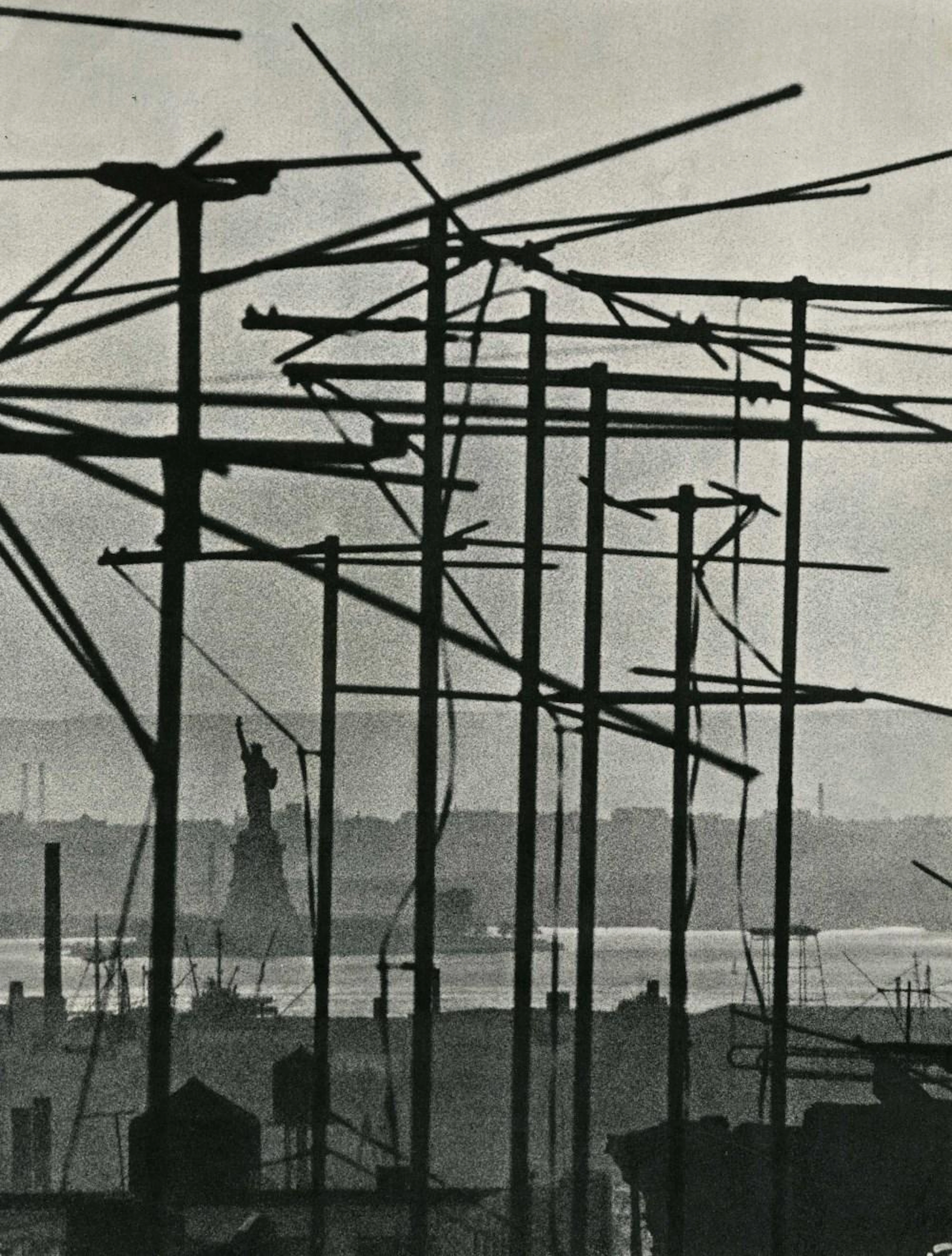 BRUCE DAVIDSON - Liberty Entwined - Original vintage photogravure