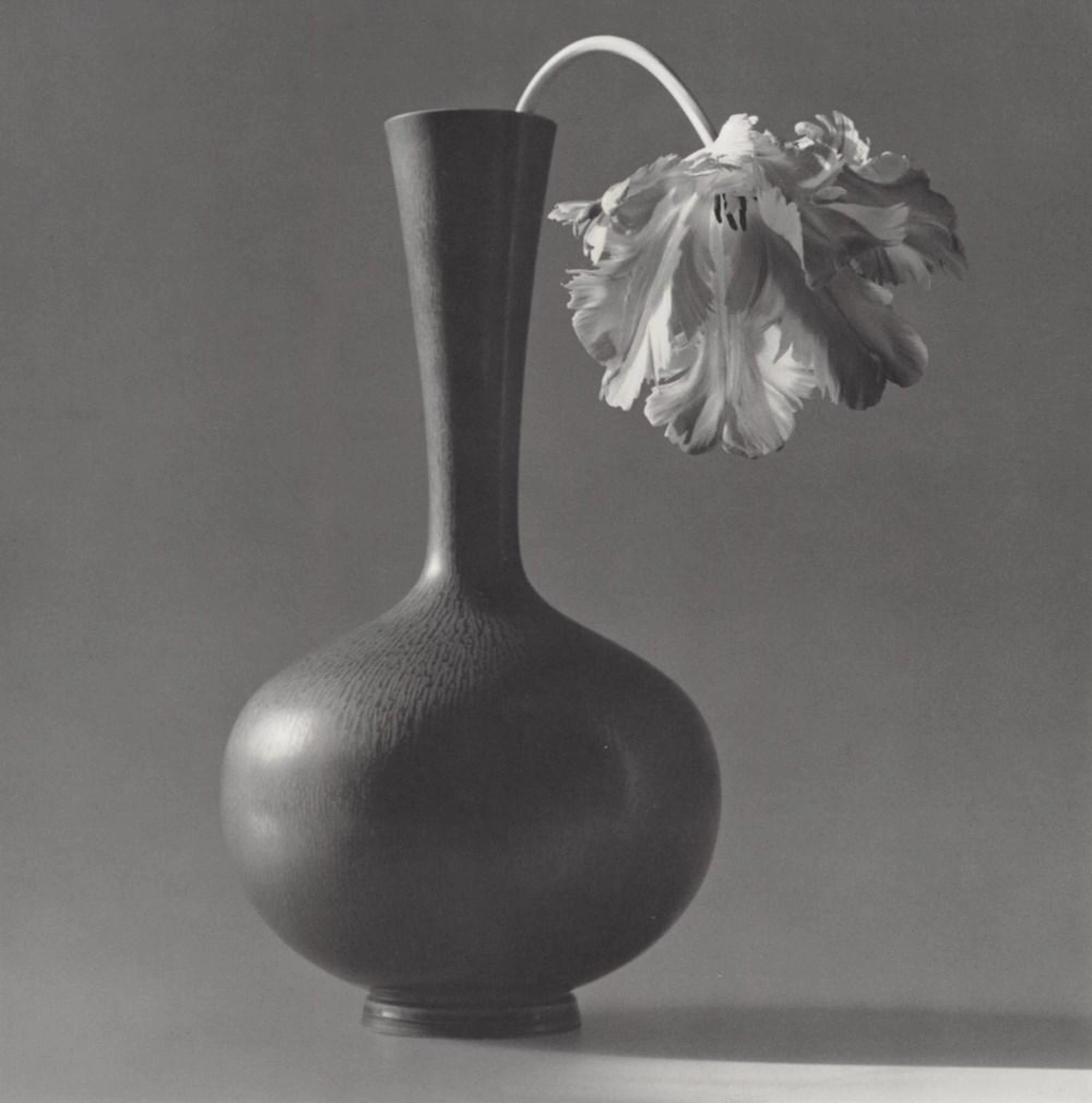 ROBERT MAPPLETHORPE - Parrot Tulip in a Black Vase...