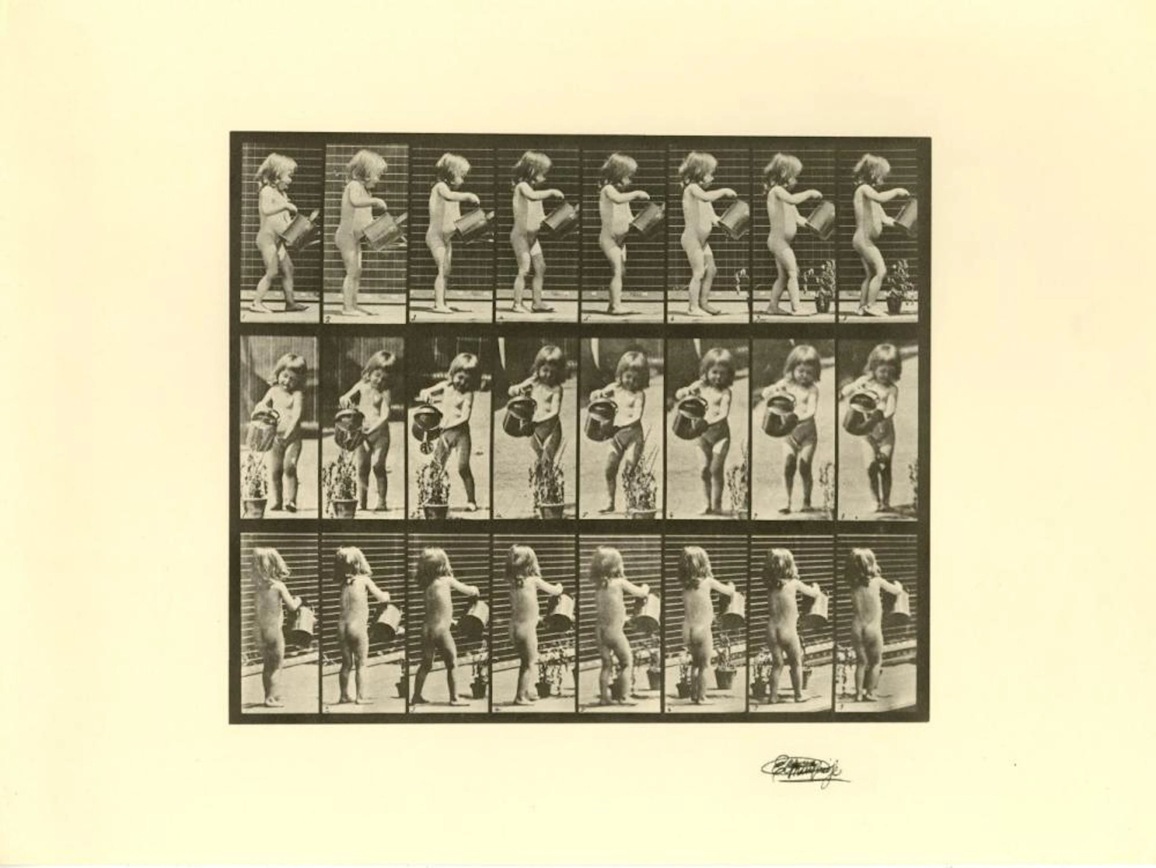 EADWEARD MUYBRIDGE [d'apres] - Girl Watering - Original photogravure