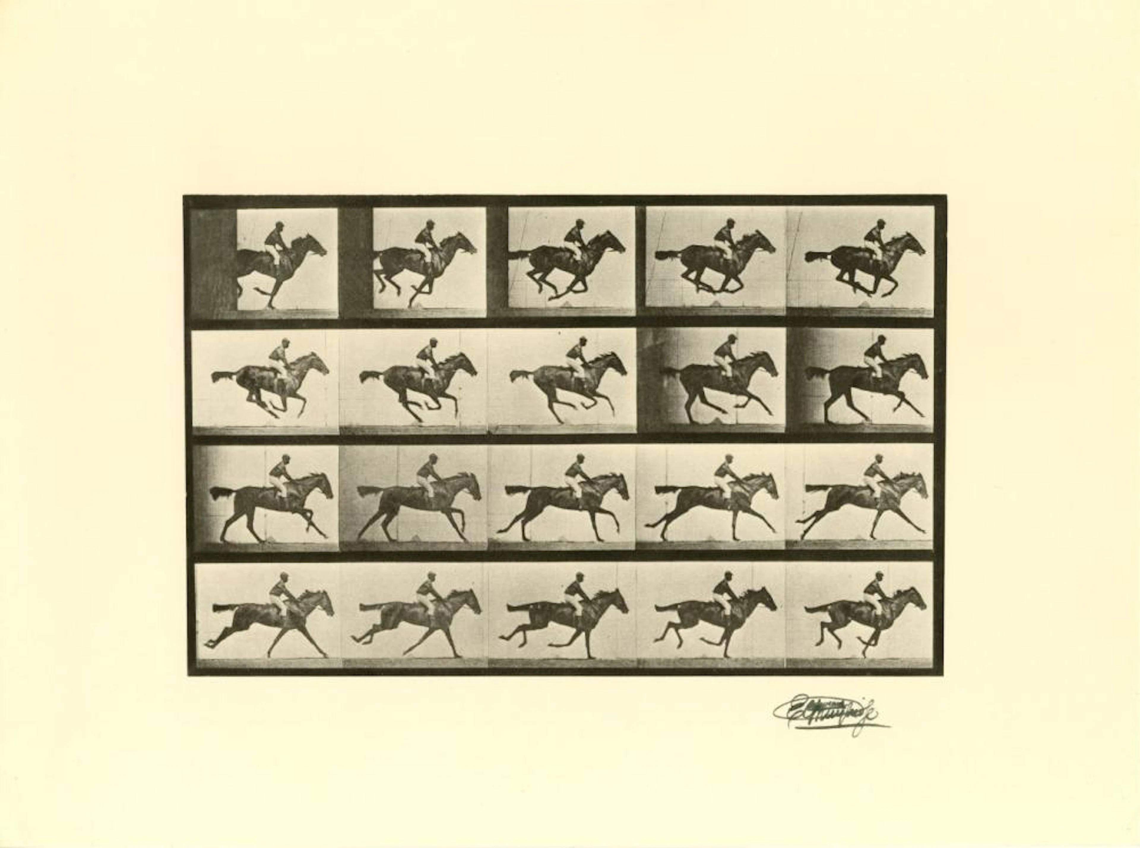 EADWEARD MUYBRIDGE [d'apres] - Jockey on Galloping Horse...