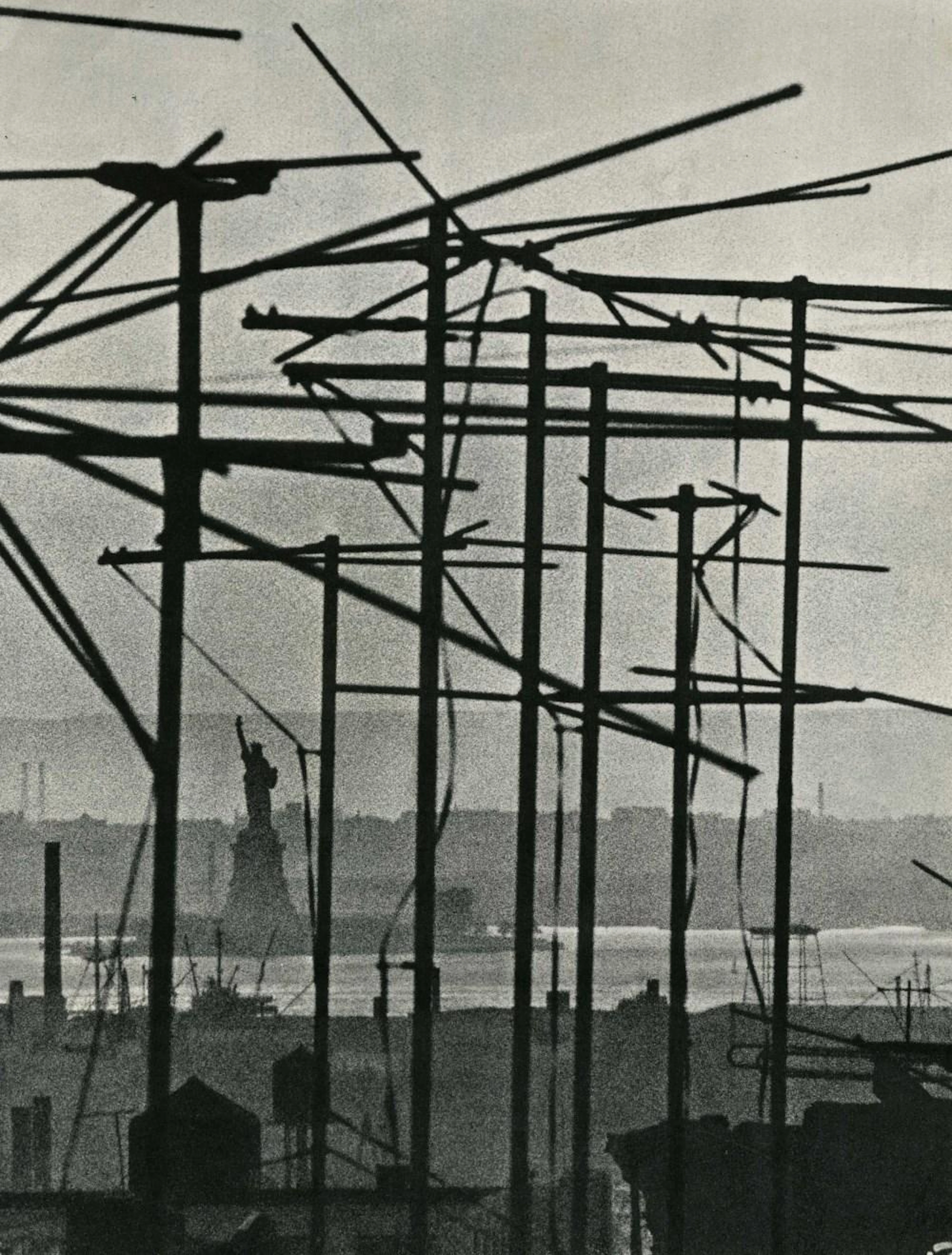 BRUCE DAVIDSON - Liberty Entwined - Original vintage photogravure