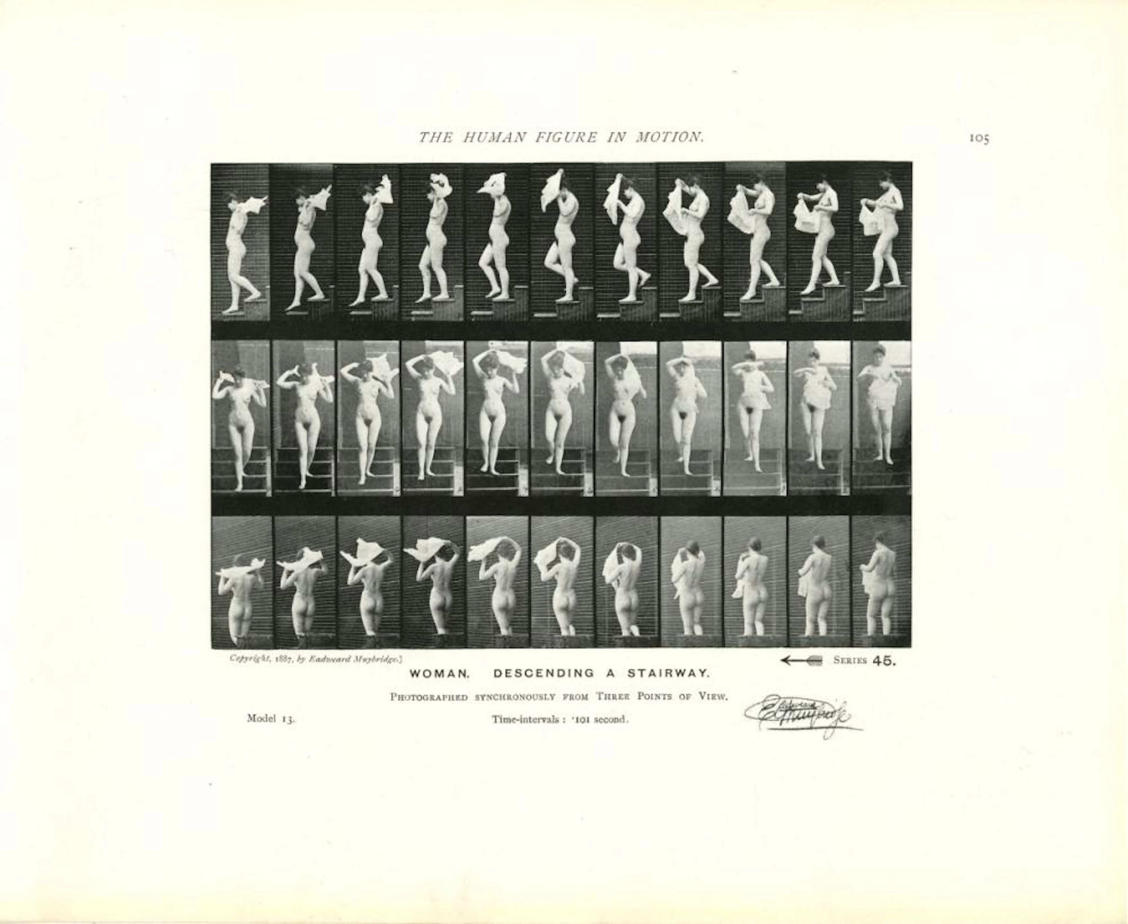 EADWEARD MUYBRIDGE - Woman: Descending a Stairway...