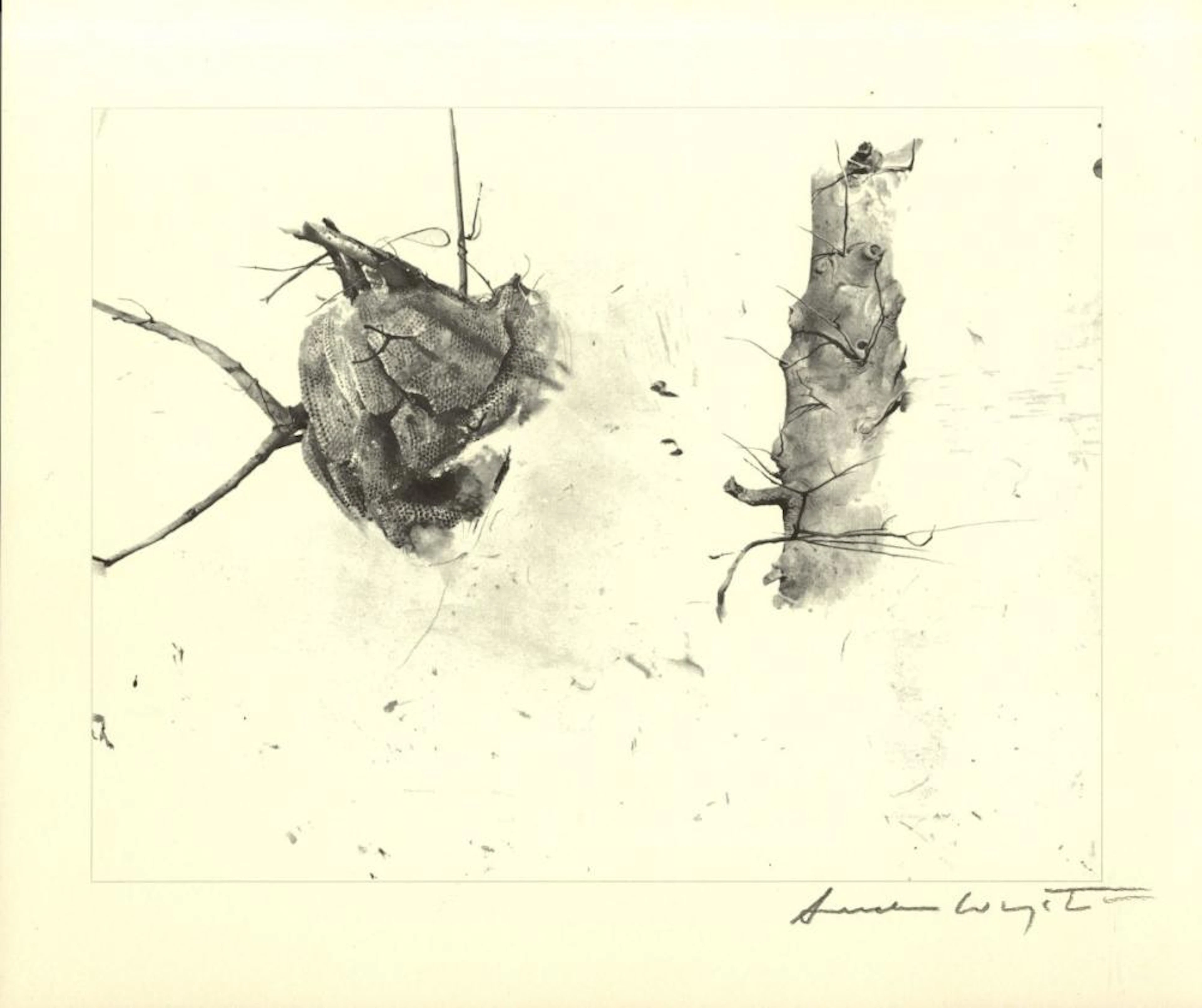 ANDREW WYETH - Storing Up - Offset lithograph