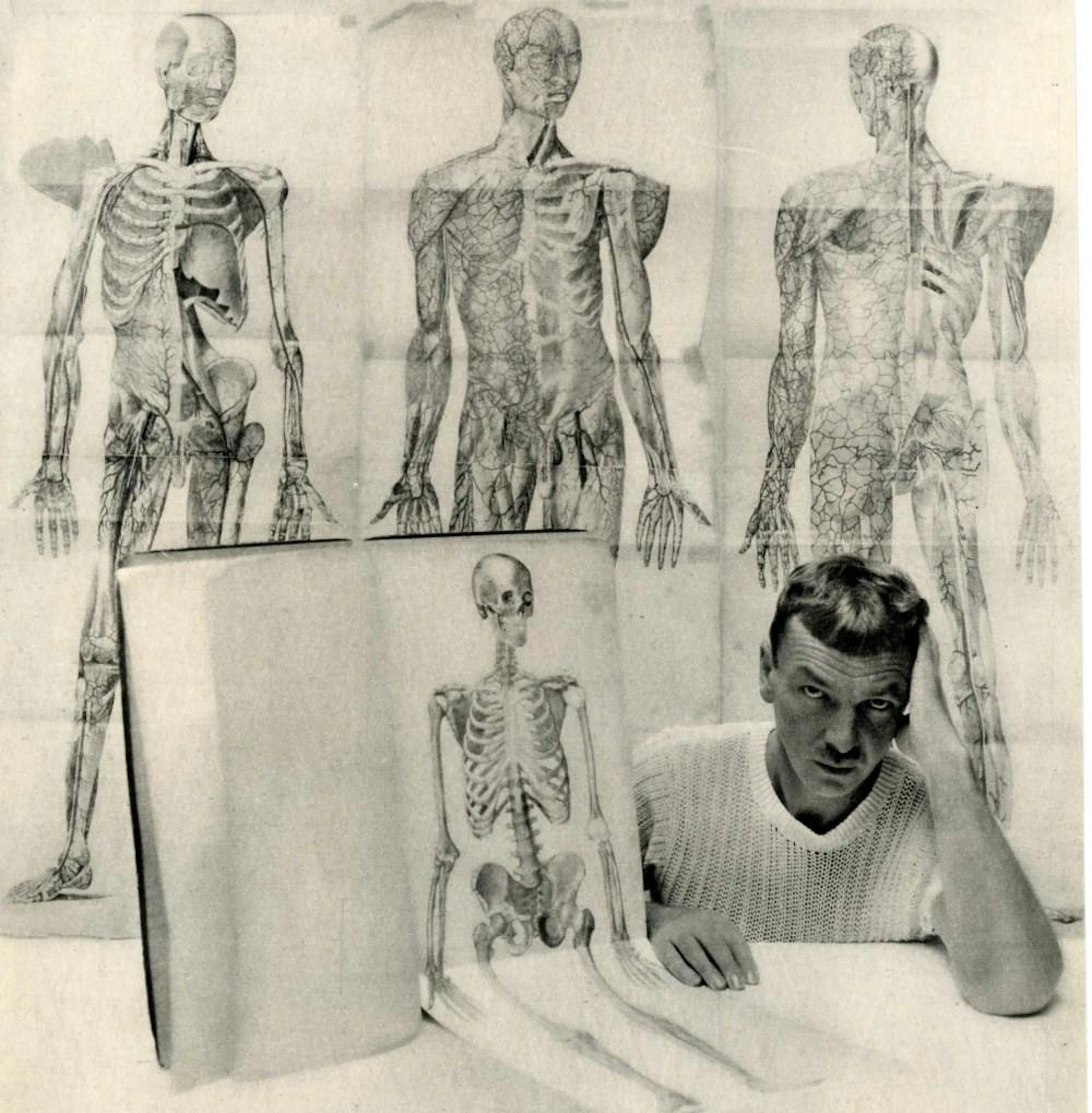 GEORGE PLATT LYNES - Skeletons with Penis - Original vintage photogravure