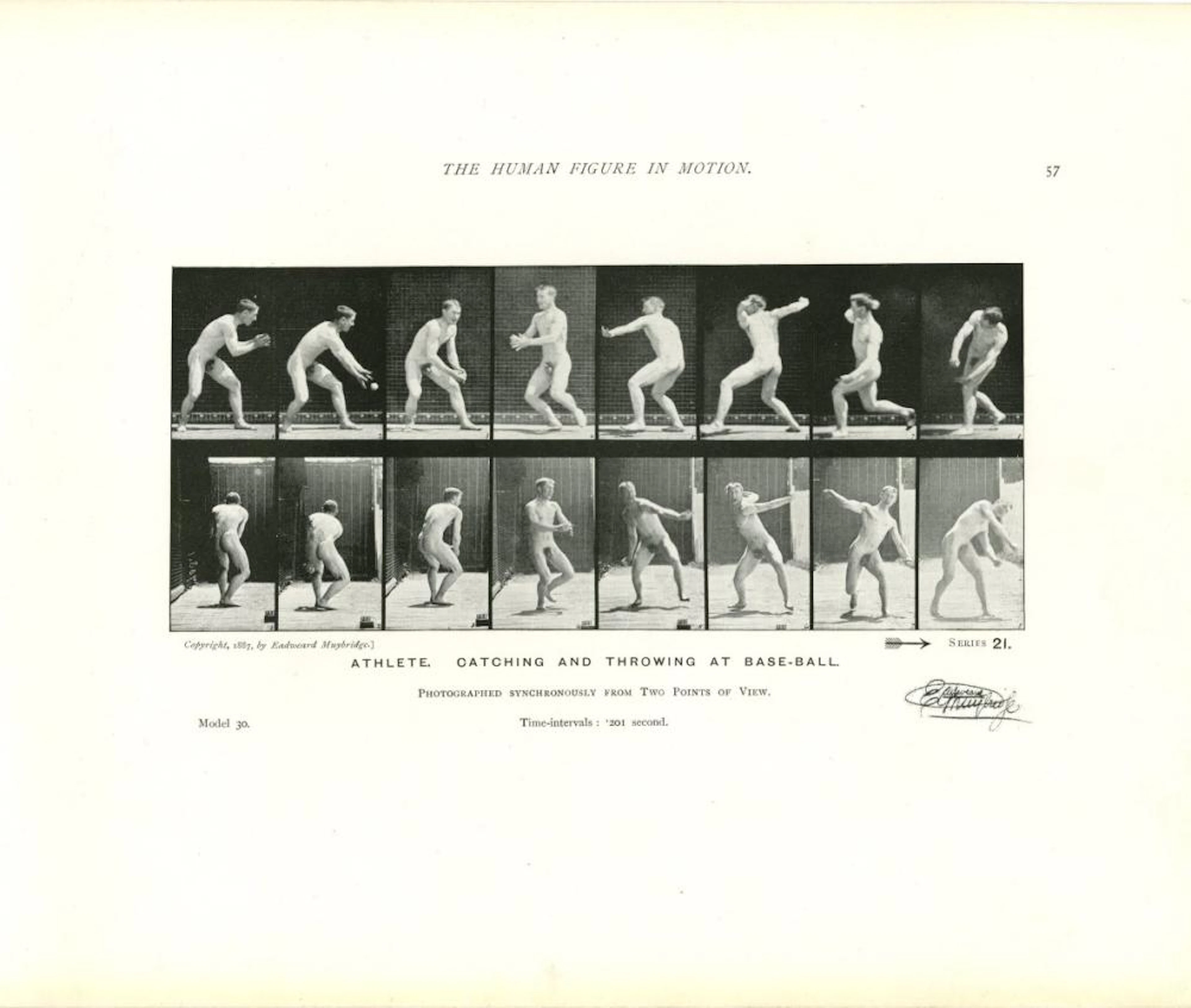 EADWEARD MUYBRIDGE - Athlete: Catching and Throwing at...