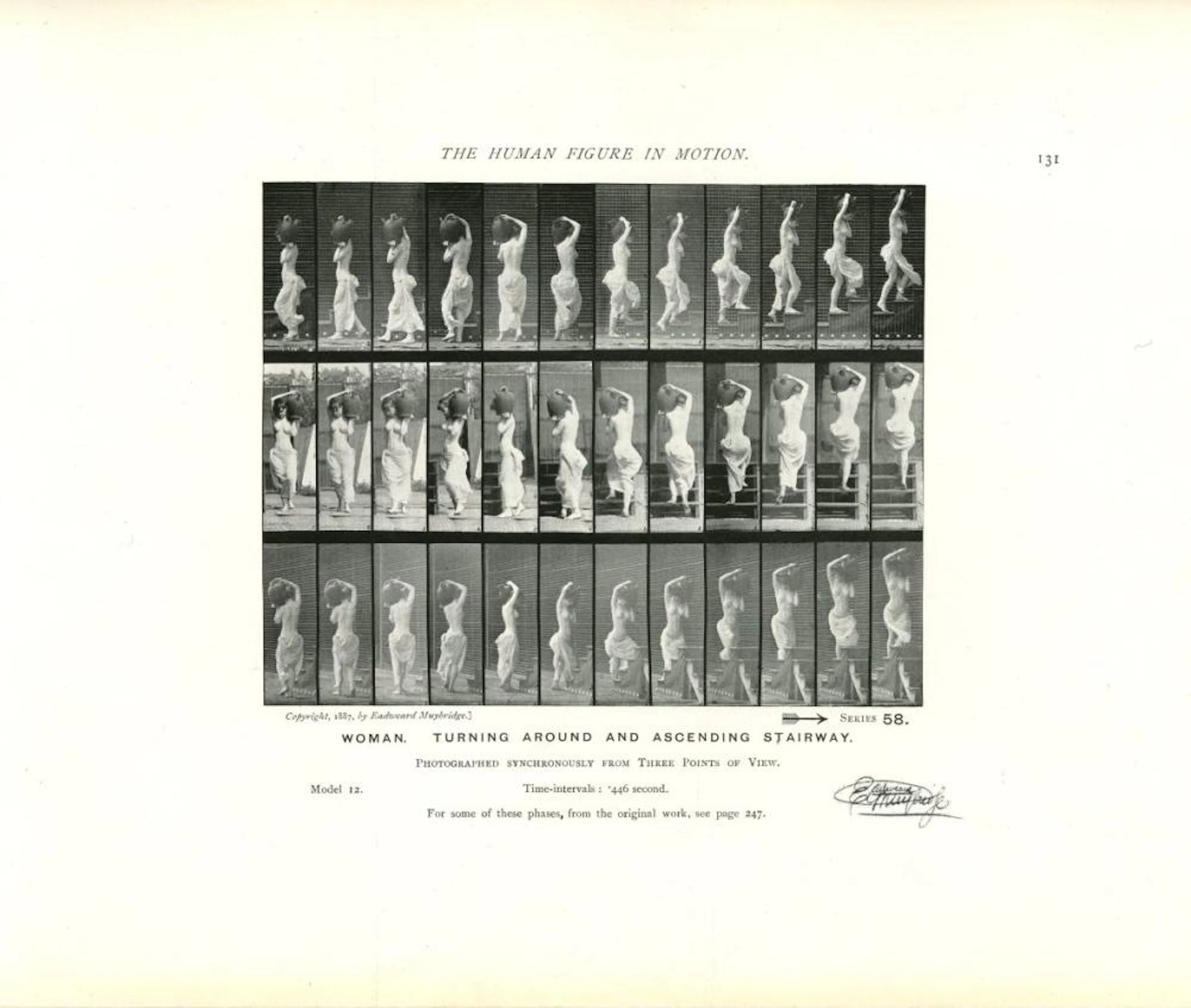 EADWEARD MUYBRIDGE - Woman: Turning around and Ascending...