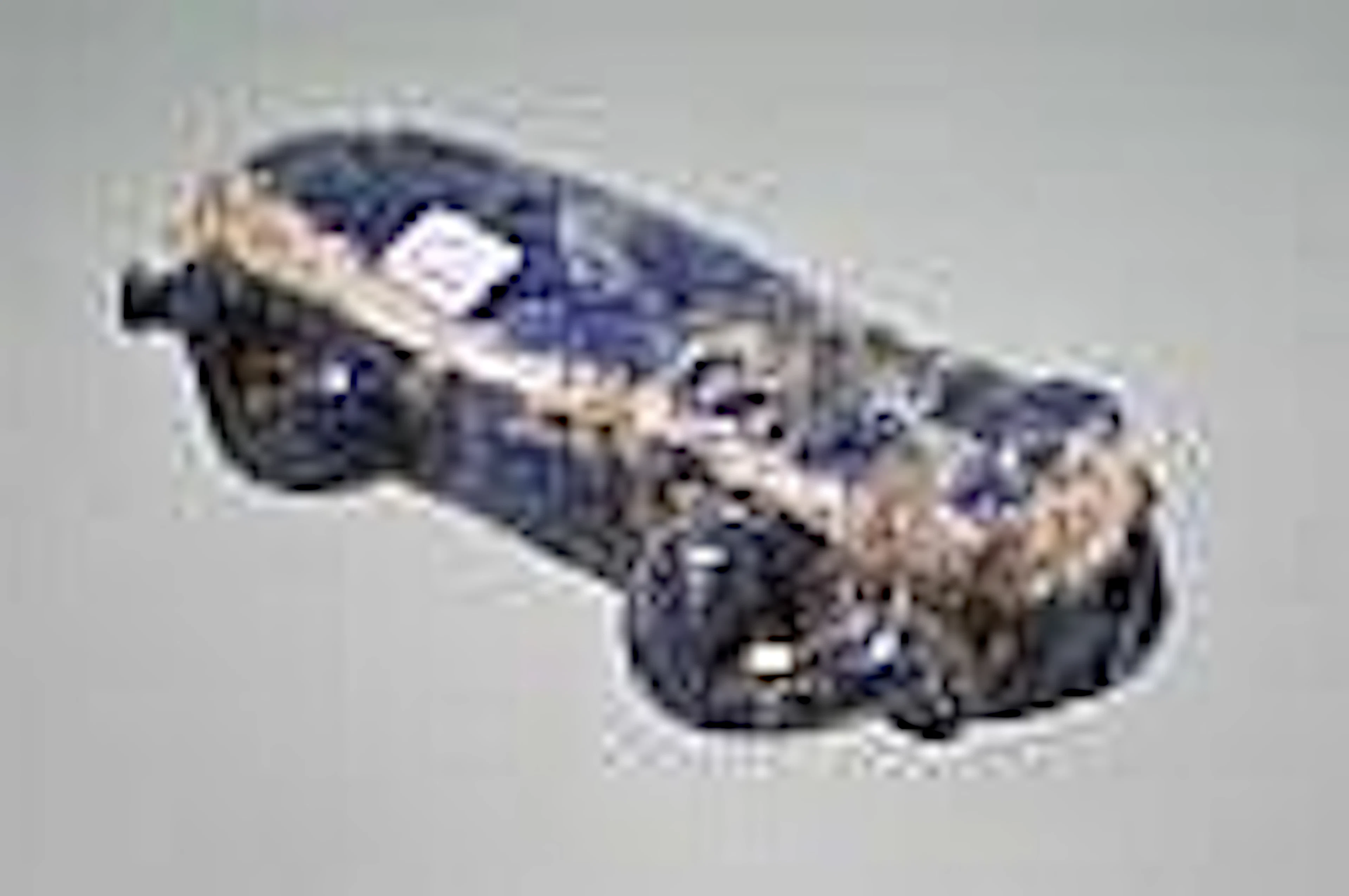 Cicada en lapis lazuli Chine néolithique ( 16cm)