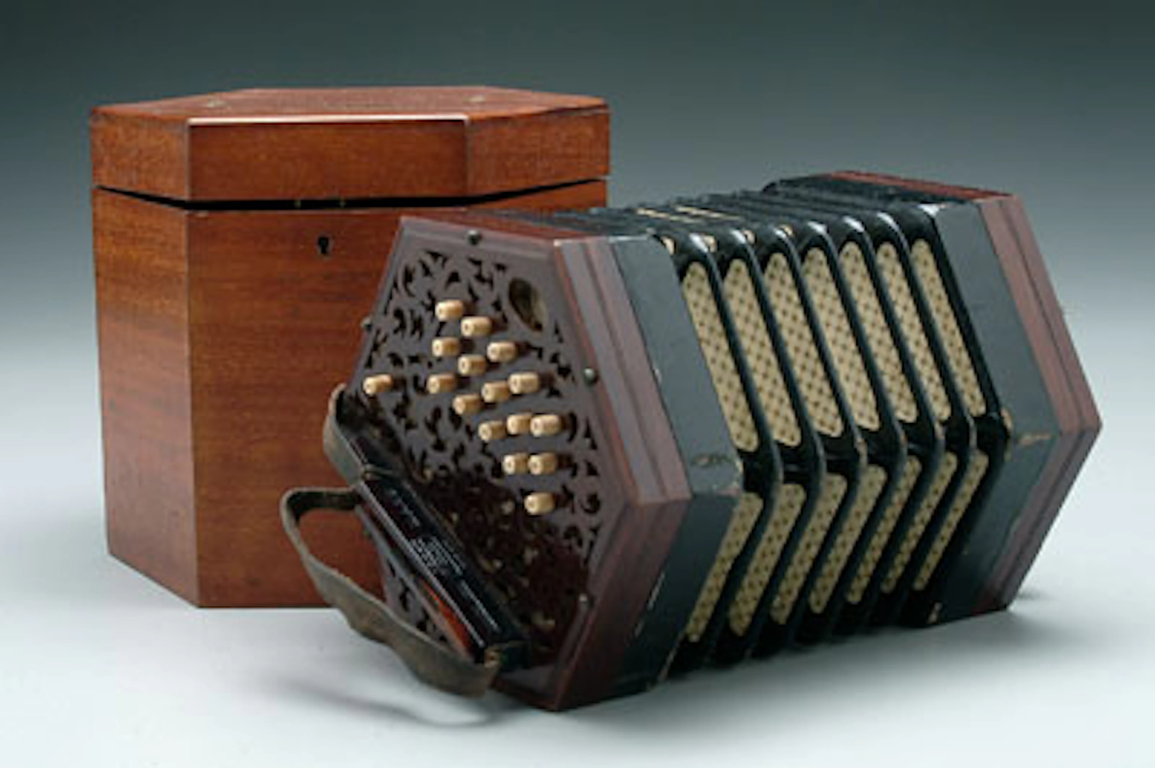 Rosewood concertina