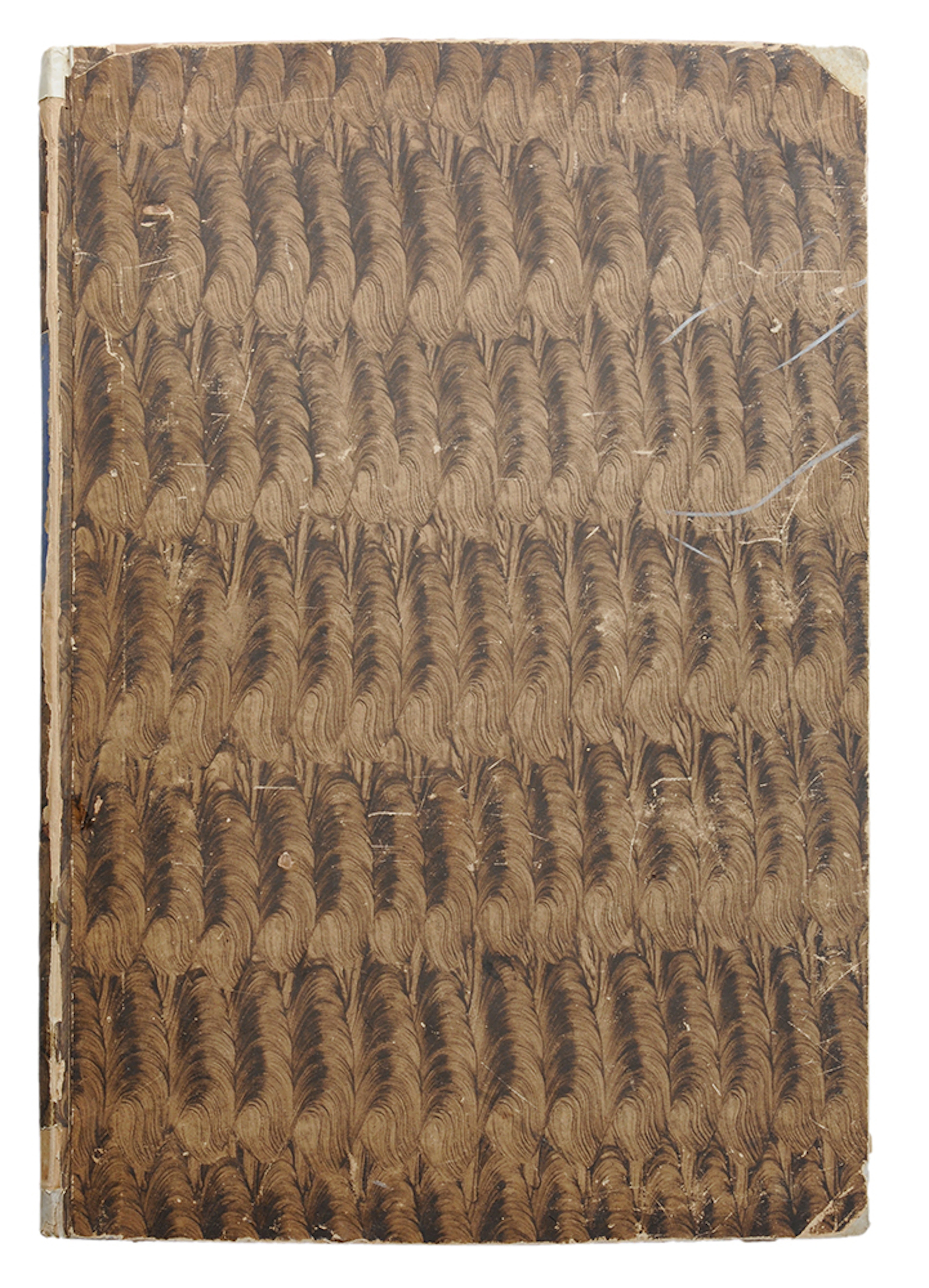 Cartons [sic] of Raphael Urbin in the Collection of the Duke of Devonshire