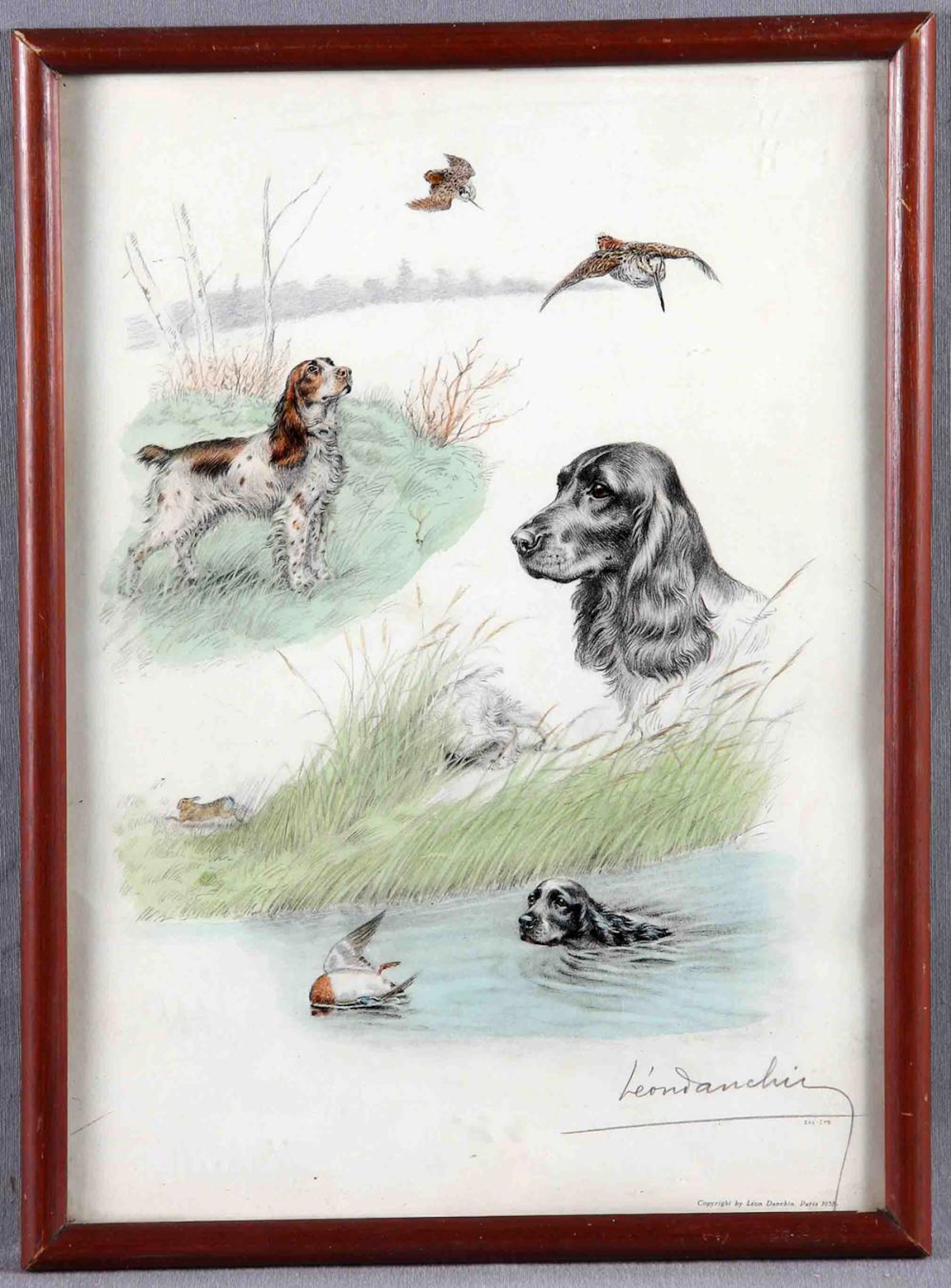 DANCHIN, LEON (1887-1939) English Cocker Spaniel.