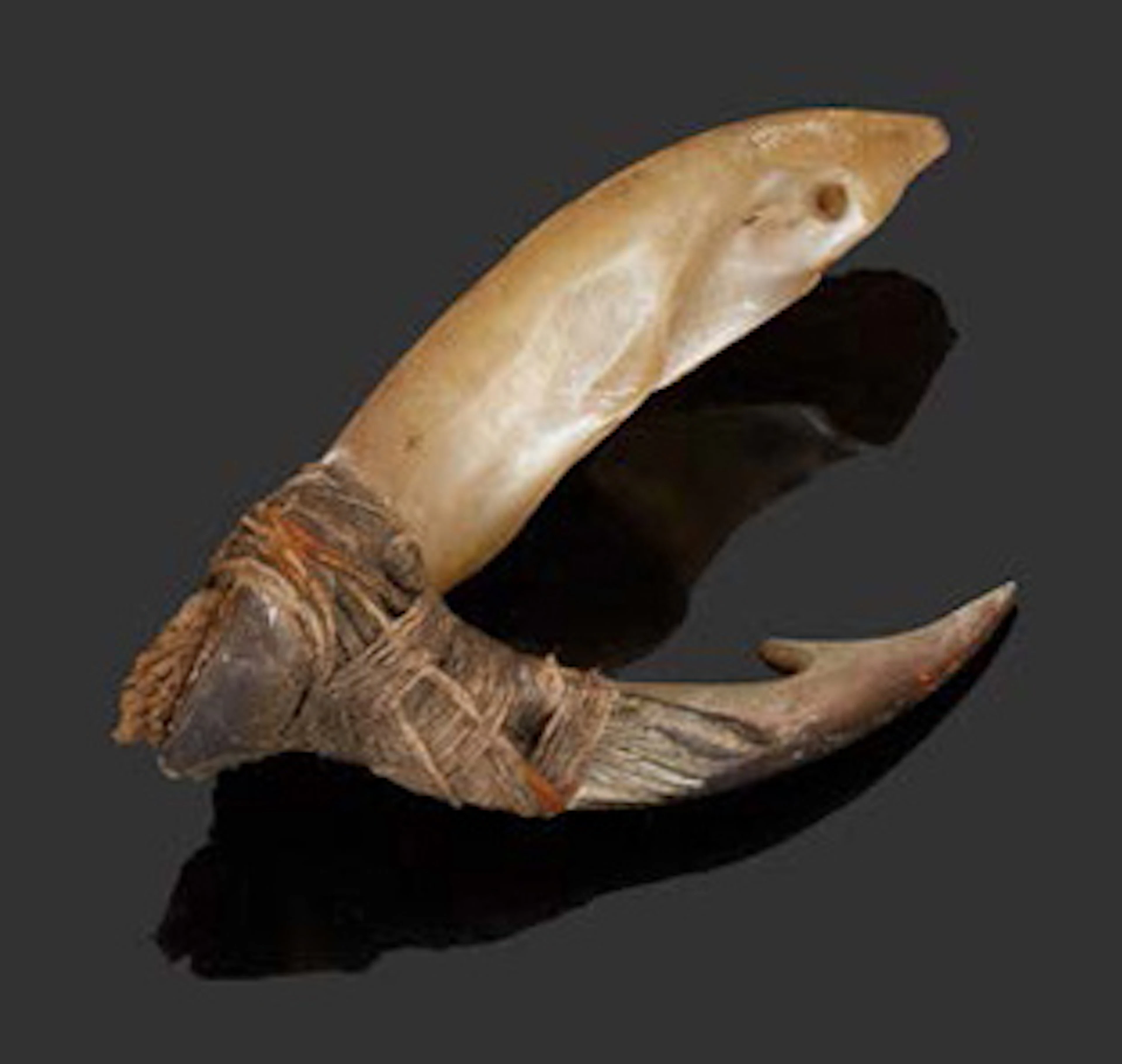 PACIFIQUE