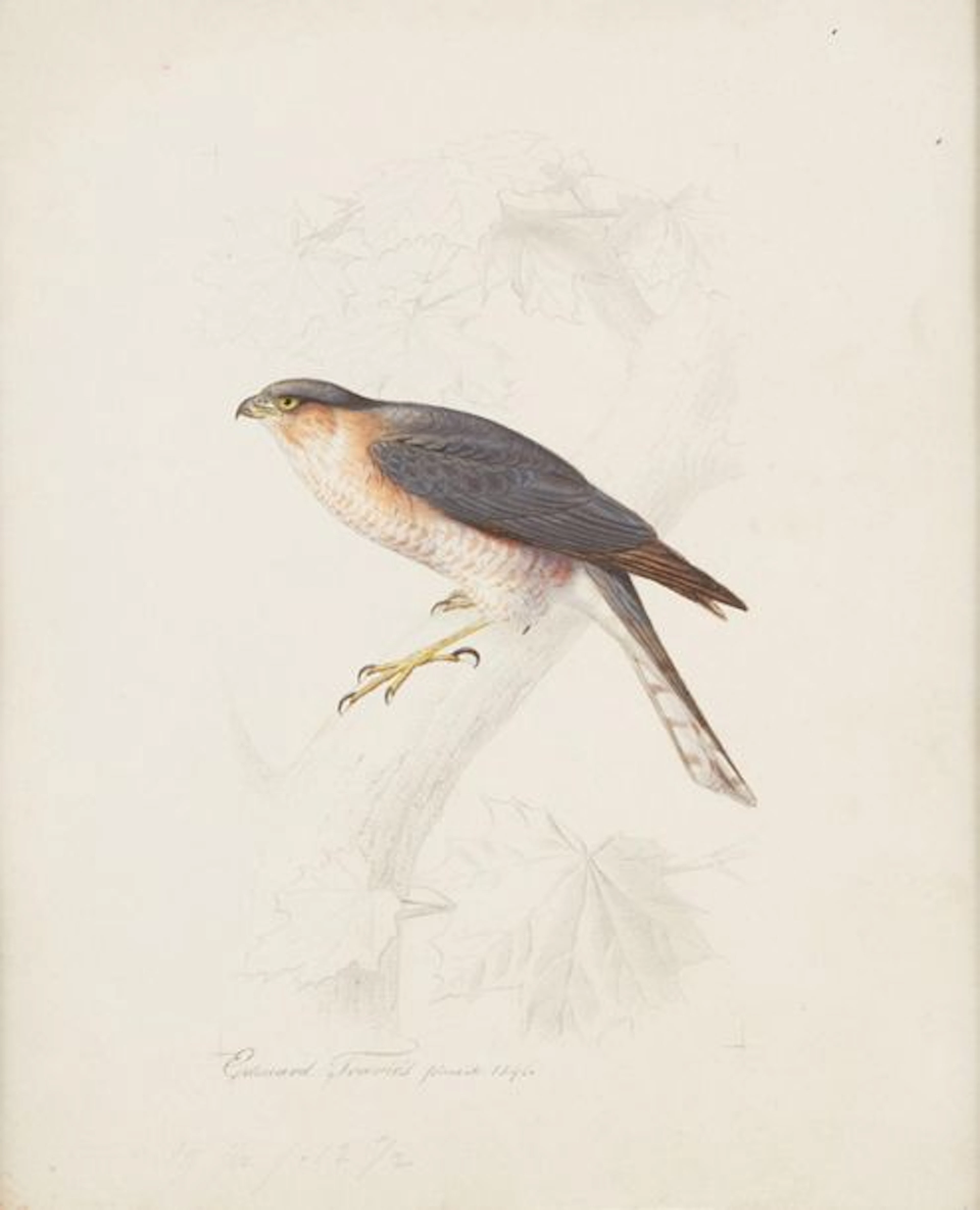 EDOUARD TRAVIES (DOULLENS 1809-PARIS 1876)