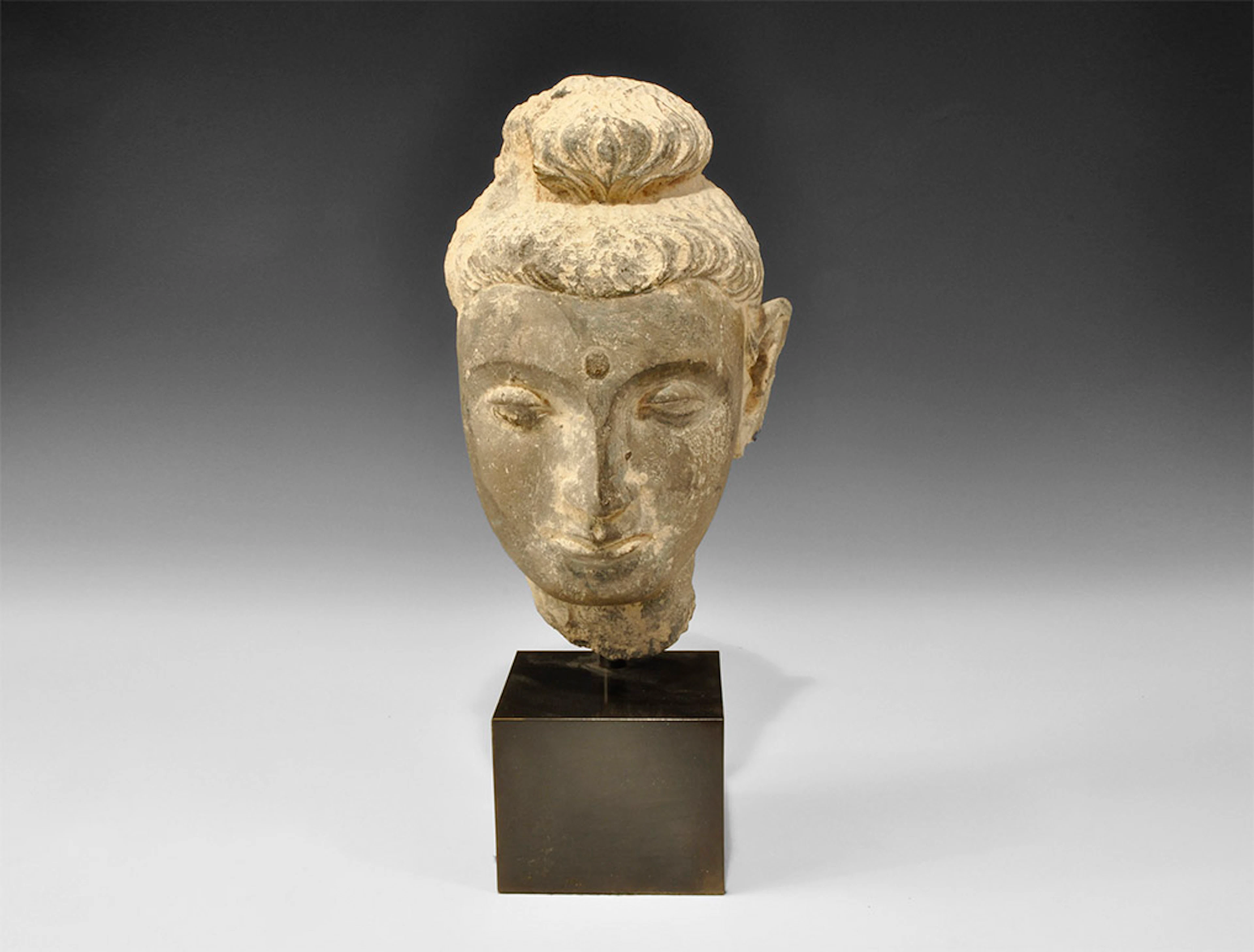 Gandharan Schist Buddha Head