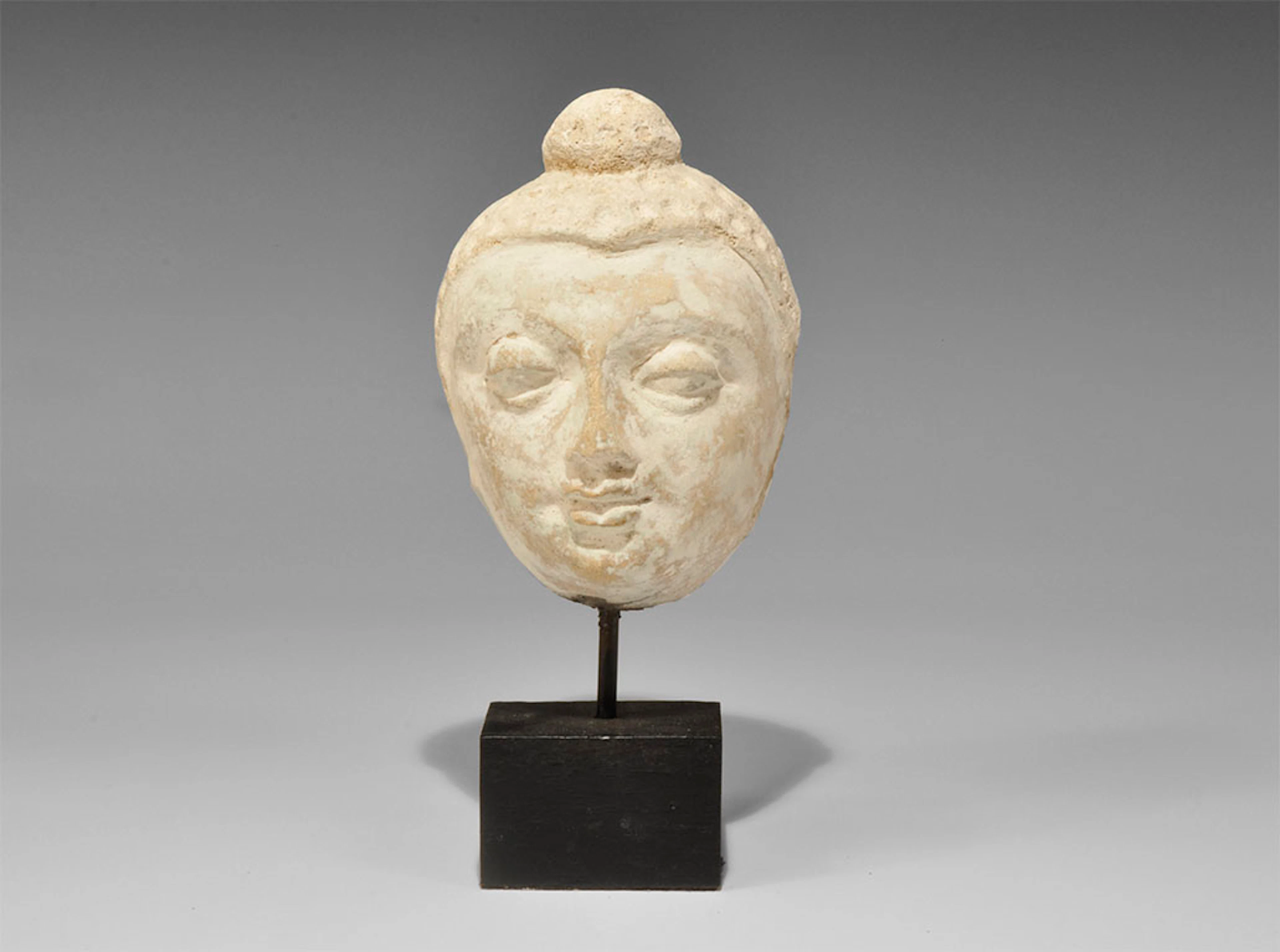 Gandharan Stucco Head of Buddha