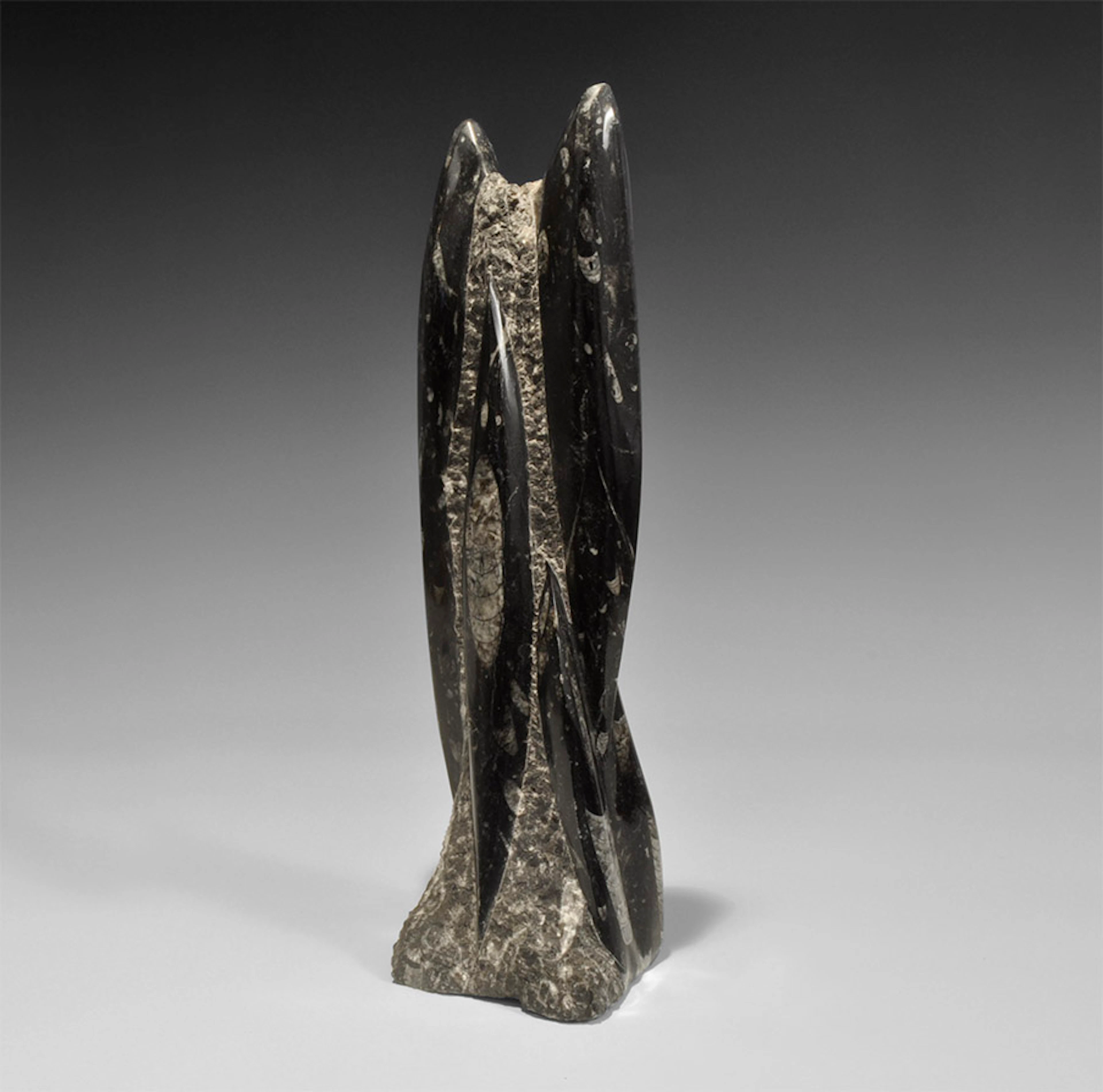 Natural History - Orthoceras Fossil Sculpture
