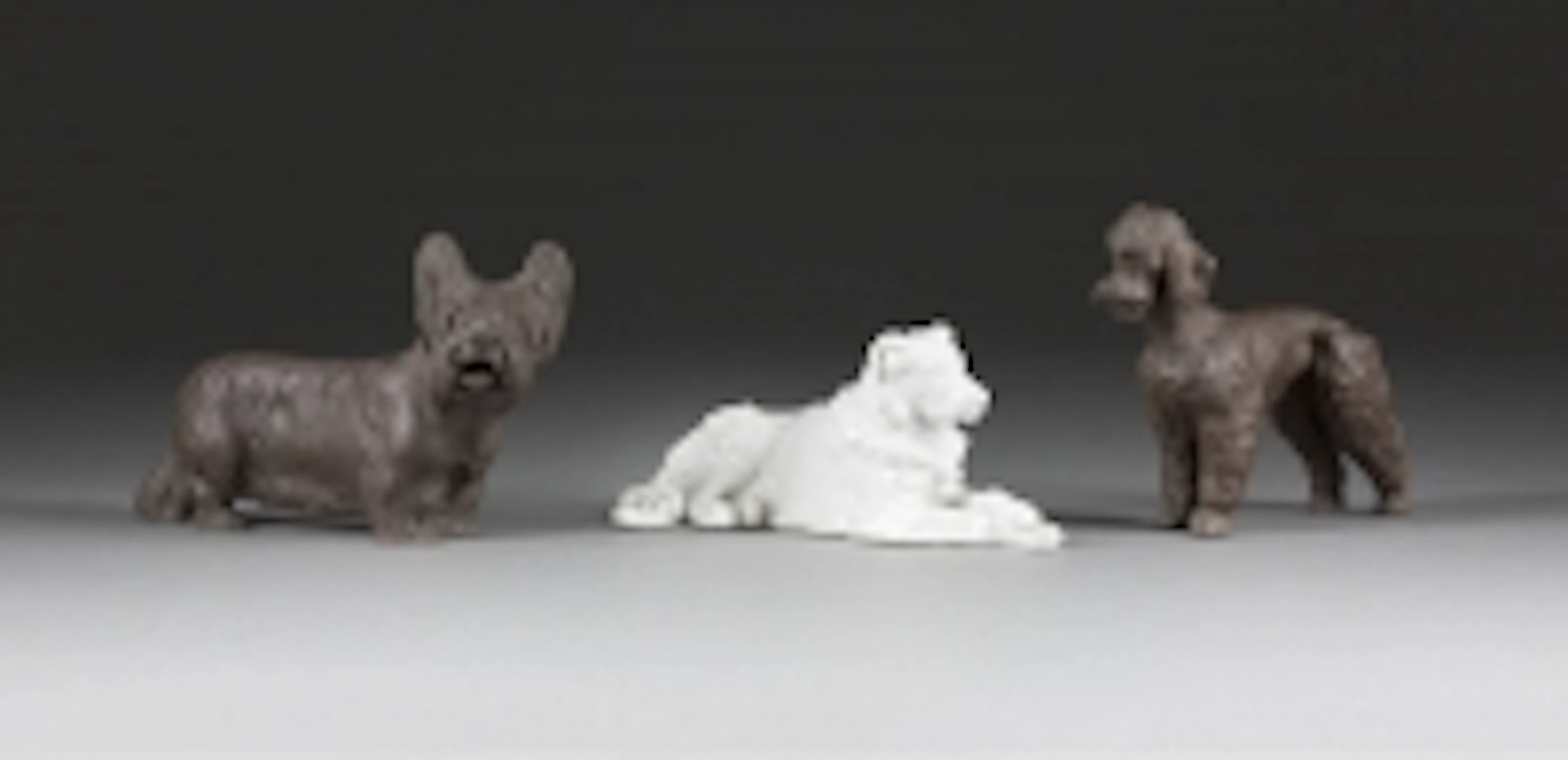 PUDEL, SKYETERRIER UND LIEGENDER HUND