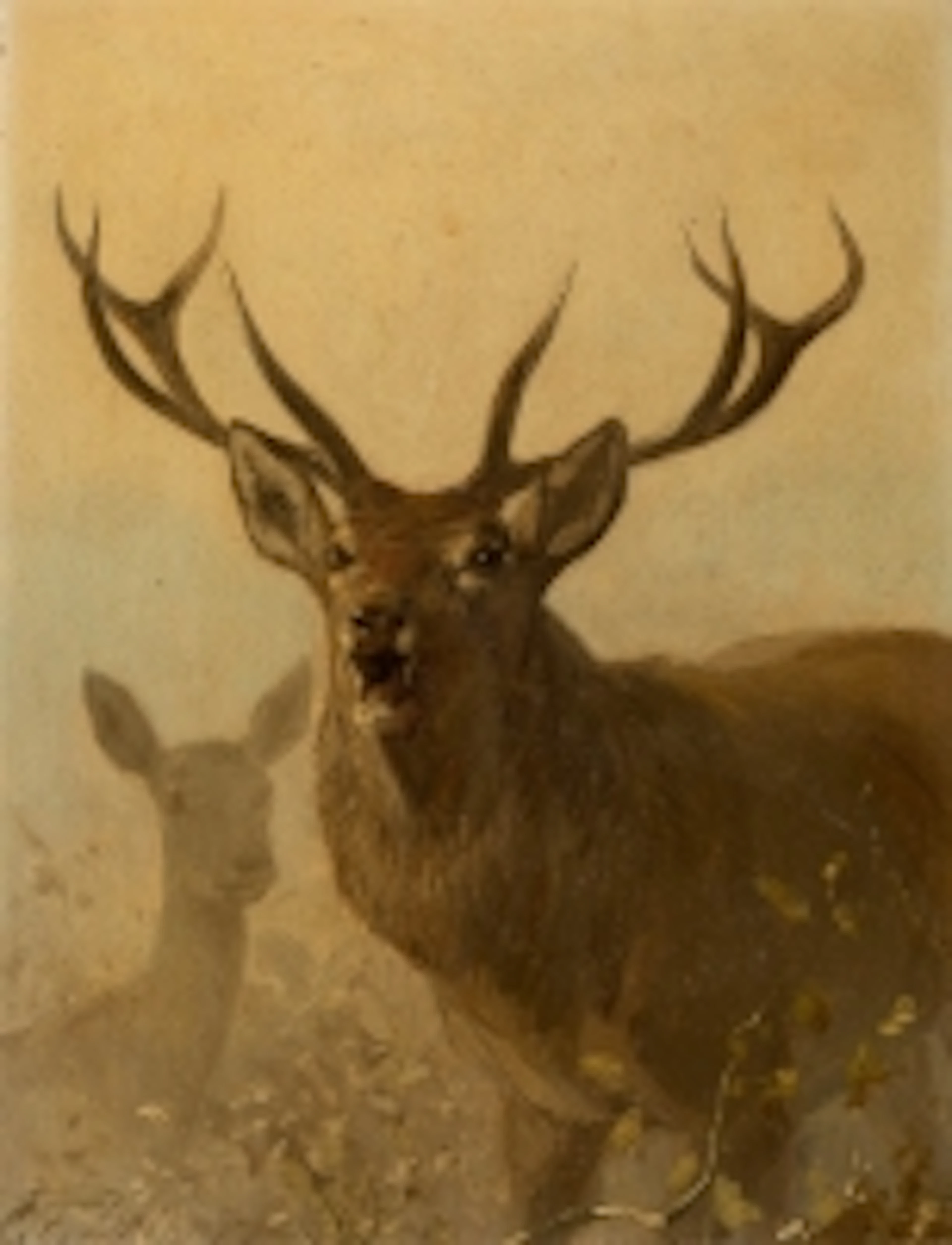 CARL FRIEDRICH DEIKER 1836 Wetzlar - 1892 Düsseldorf Röhrender H