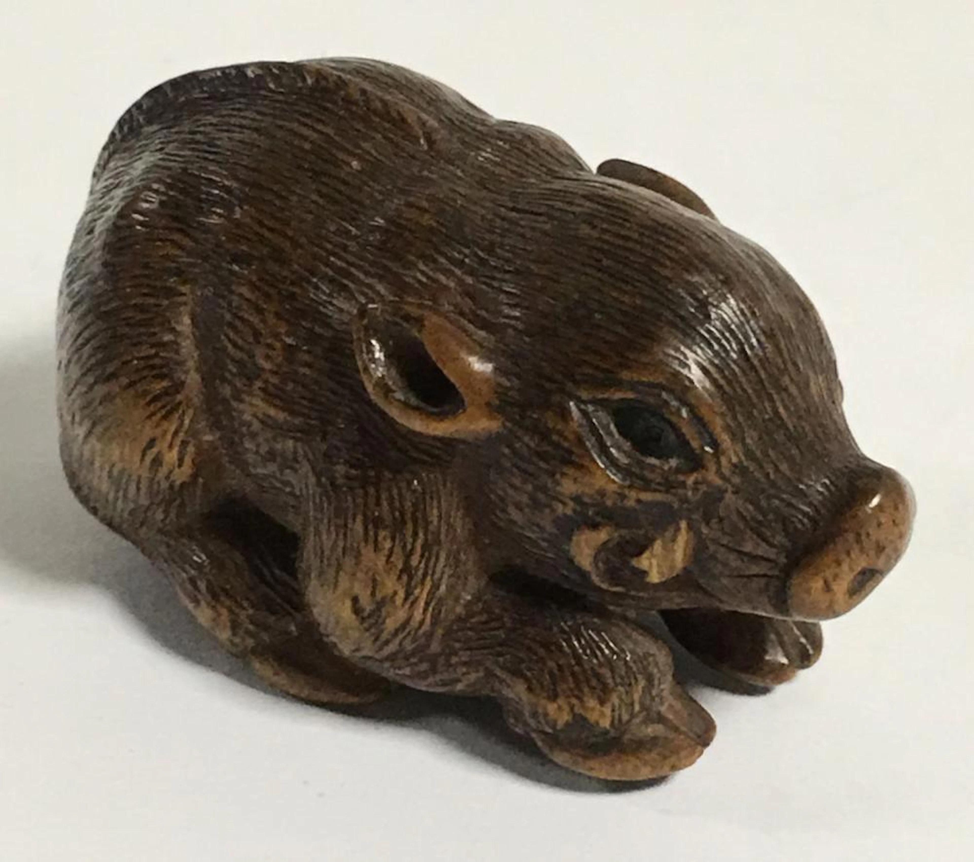 Katabori Carved Wood Netsuke, Boar, Signed