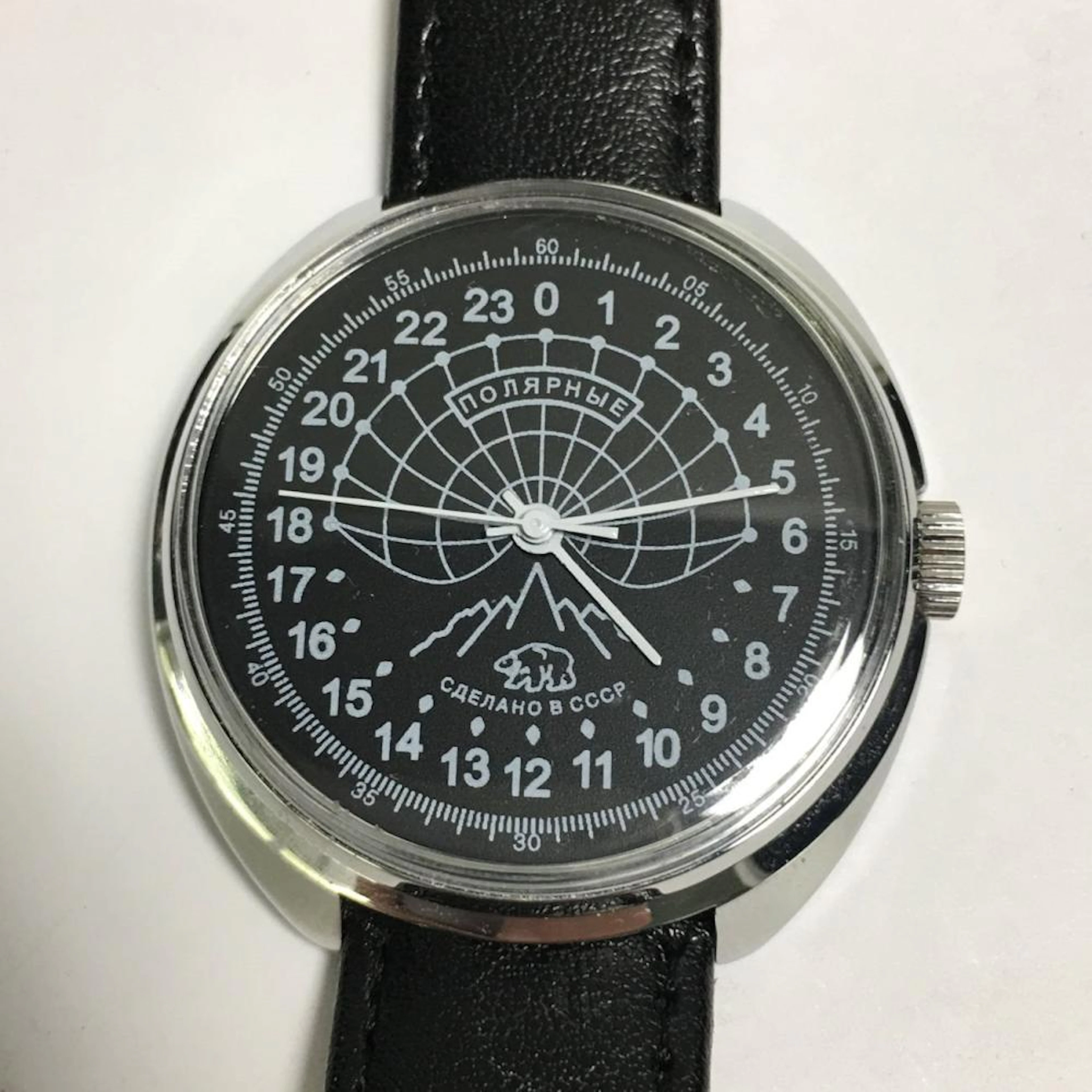 Rocket Polar Rare 24 Hour Russian Watch