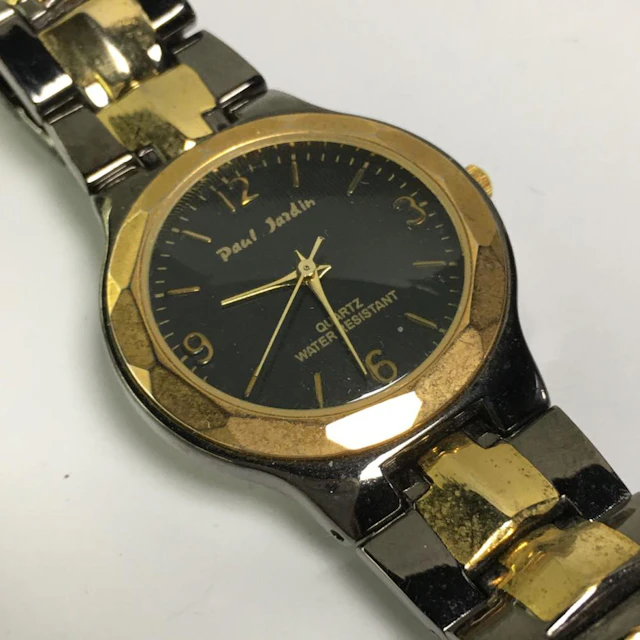 Paul Jardin Stainless Steel Wrist Watch