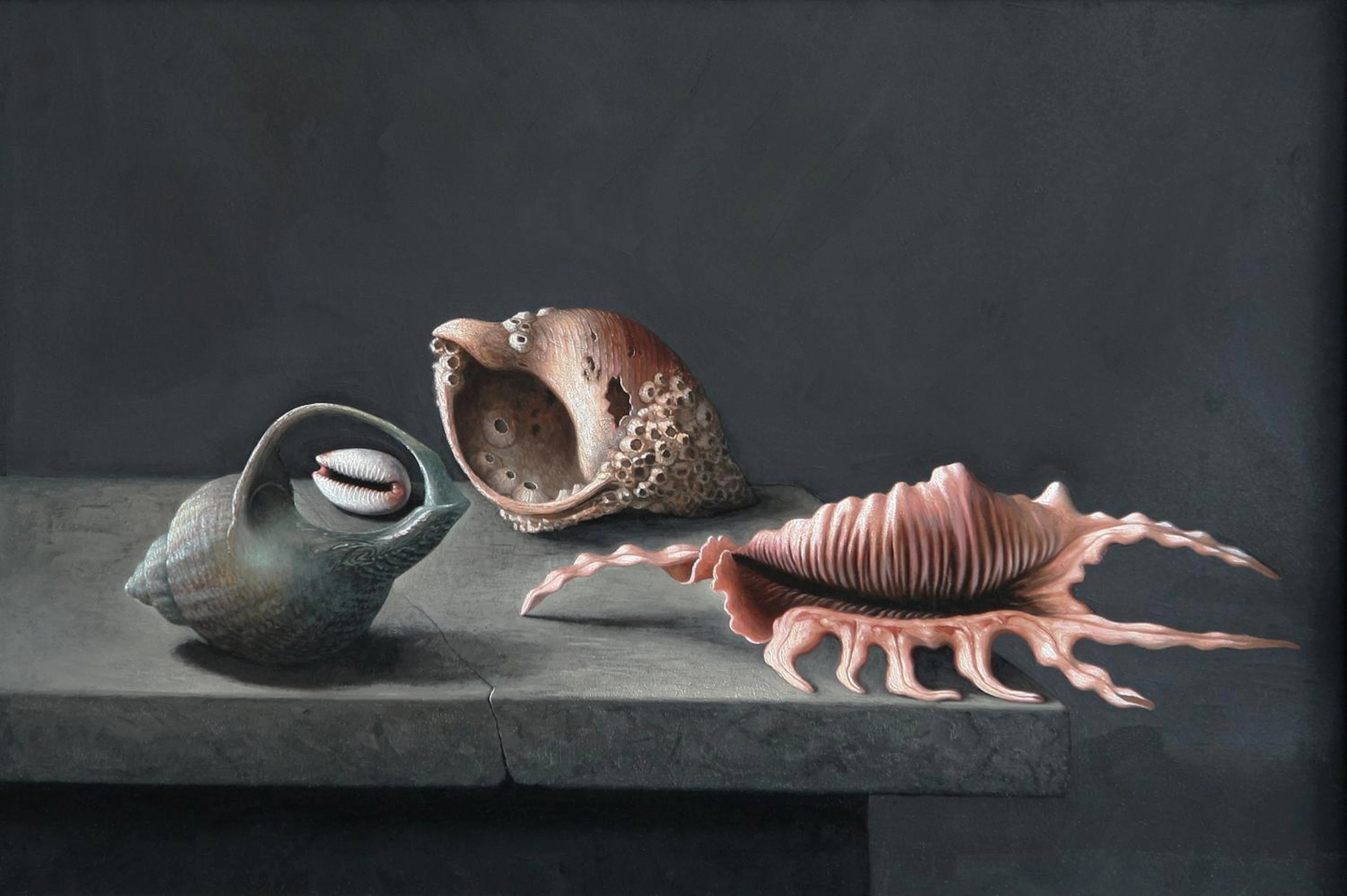 * Stuart Morle (b.1960) "Still life of Sea Shells after Adriaen Coorte"Signed
