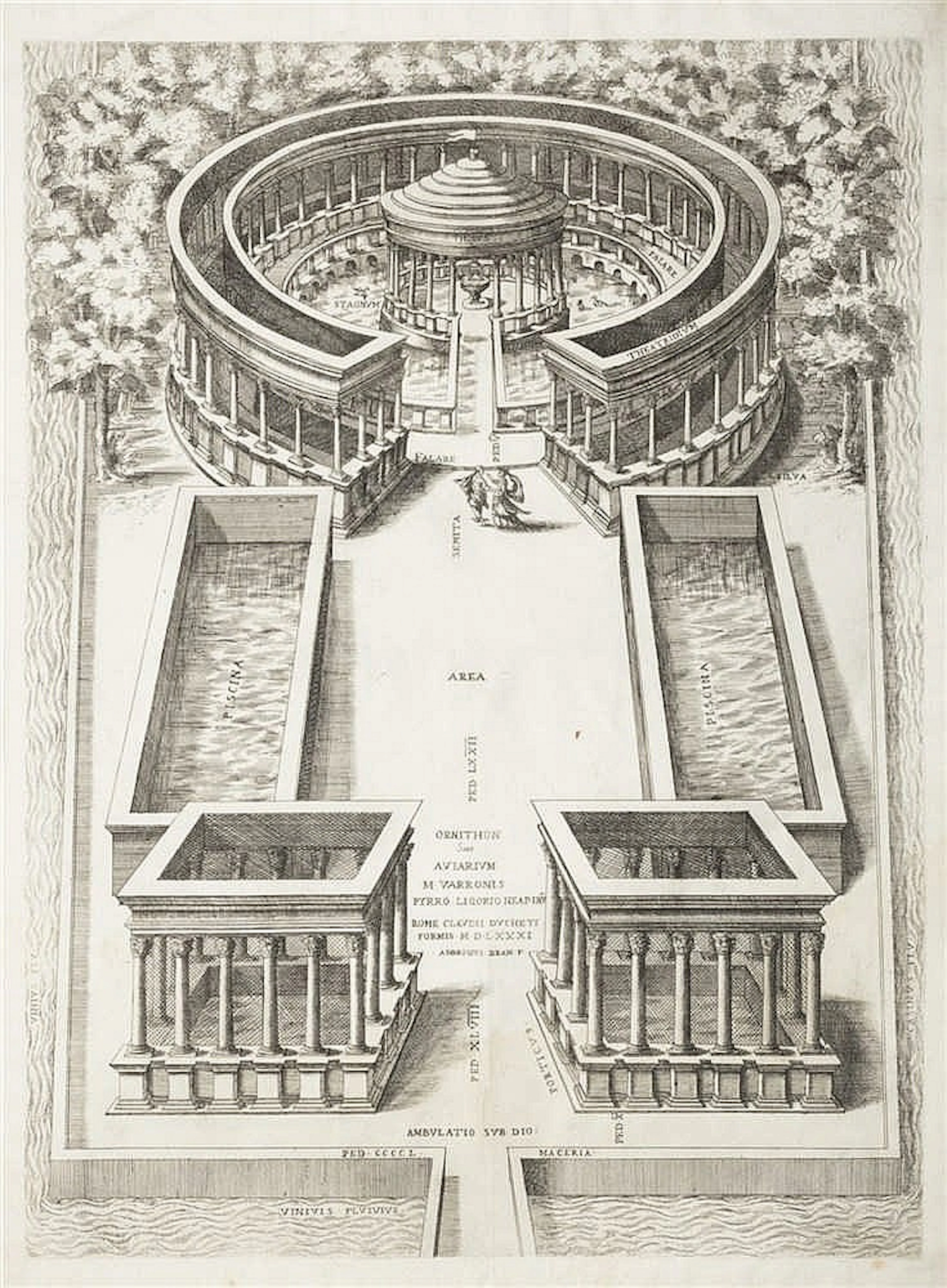 Cassino - Brambilla, Ambrogio