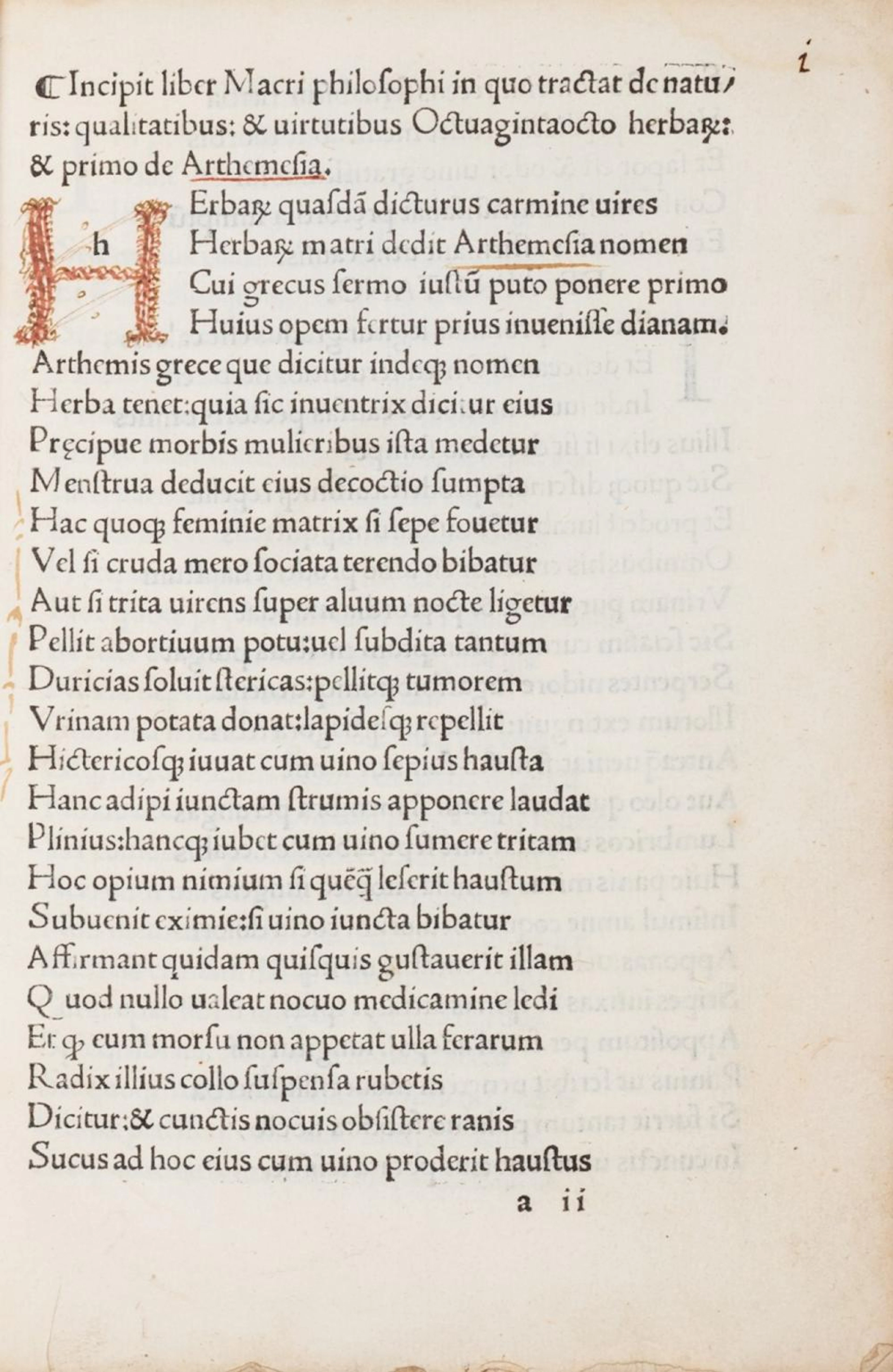 Macer Floridus (o Emilio)