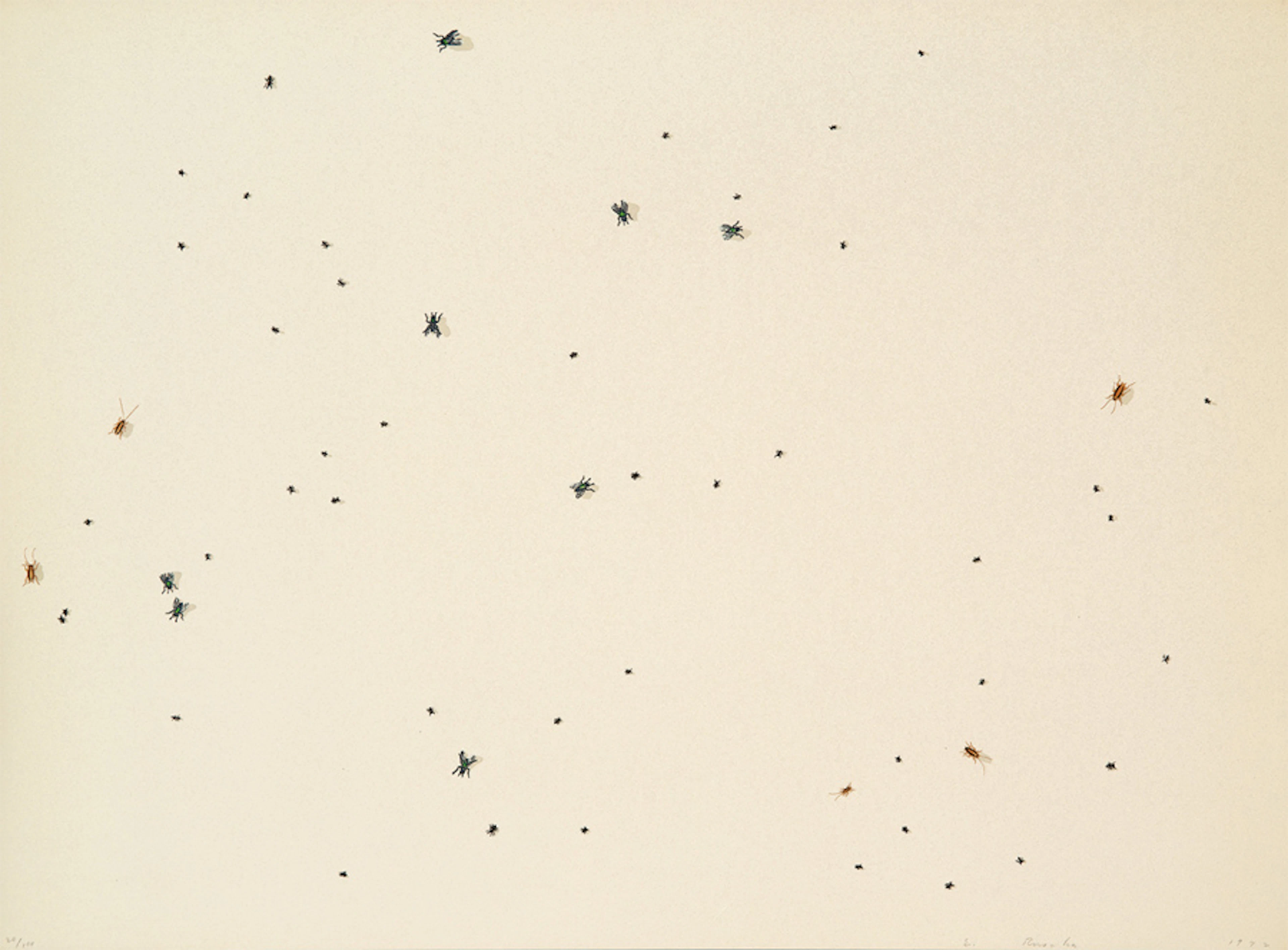 Pearl Dust Combination (from Insects Portfolio)