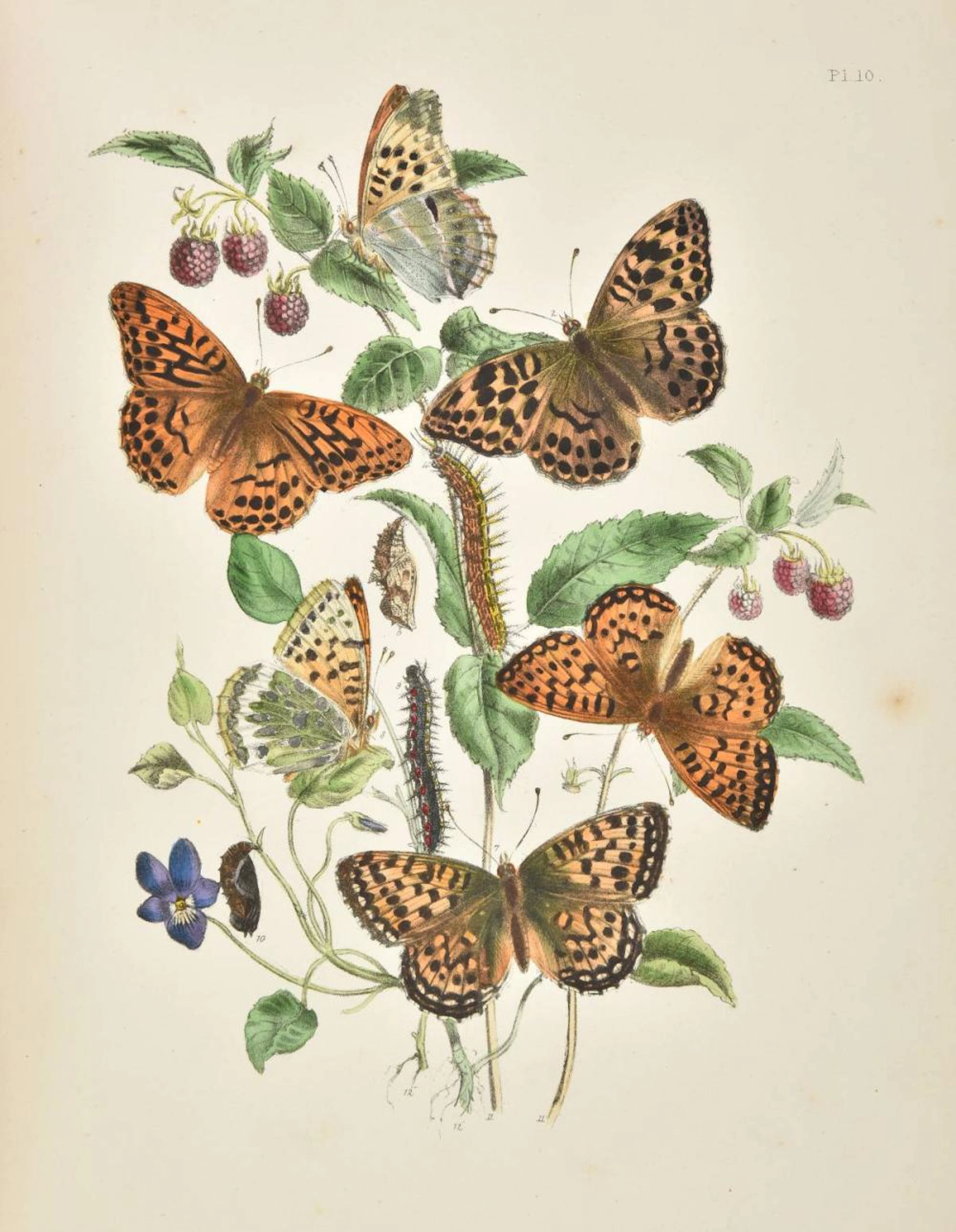 Humphreys (Henry Noel