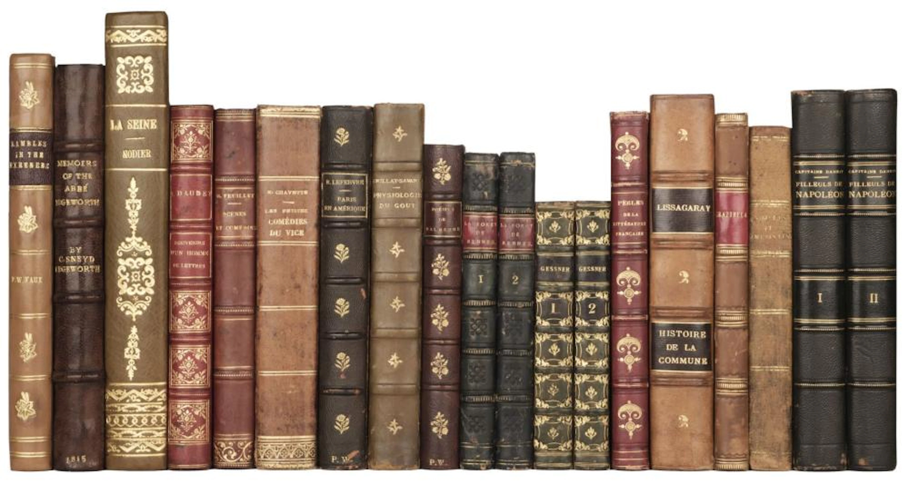 Bindings. Rambles in the Pyrenees, by Frederic W. Vaux, 1838