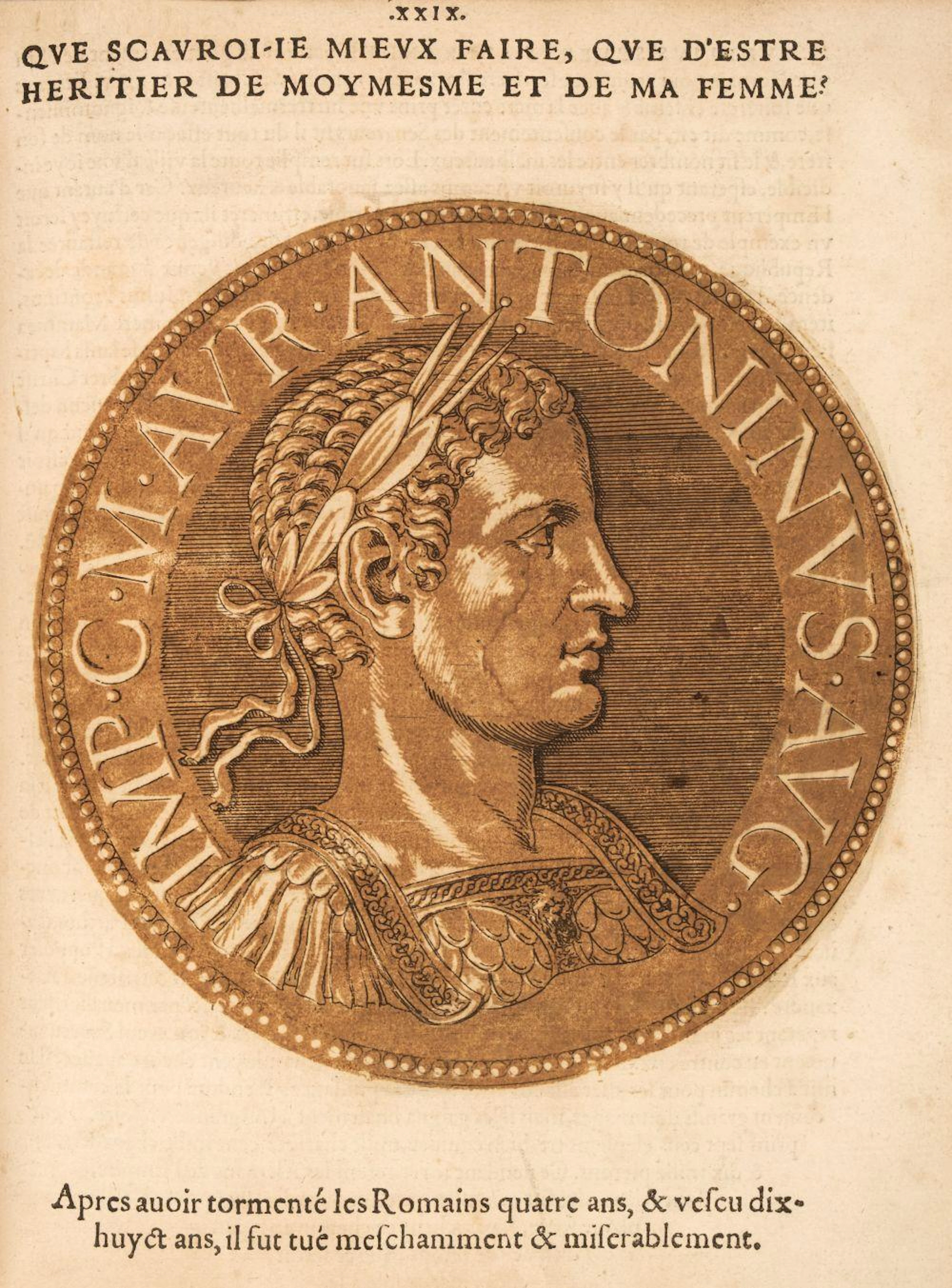 Goltz (Hubert)