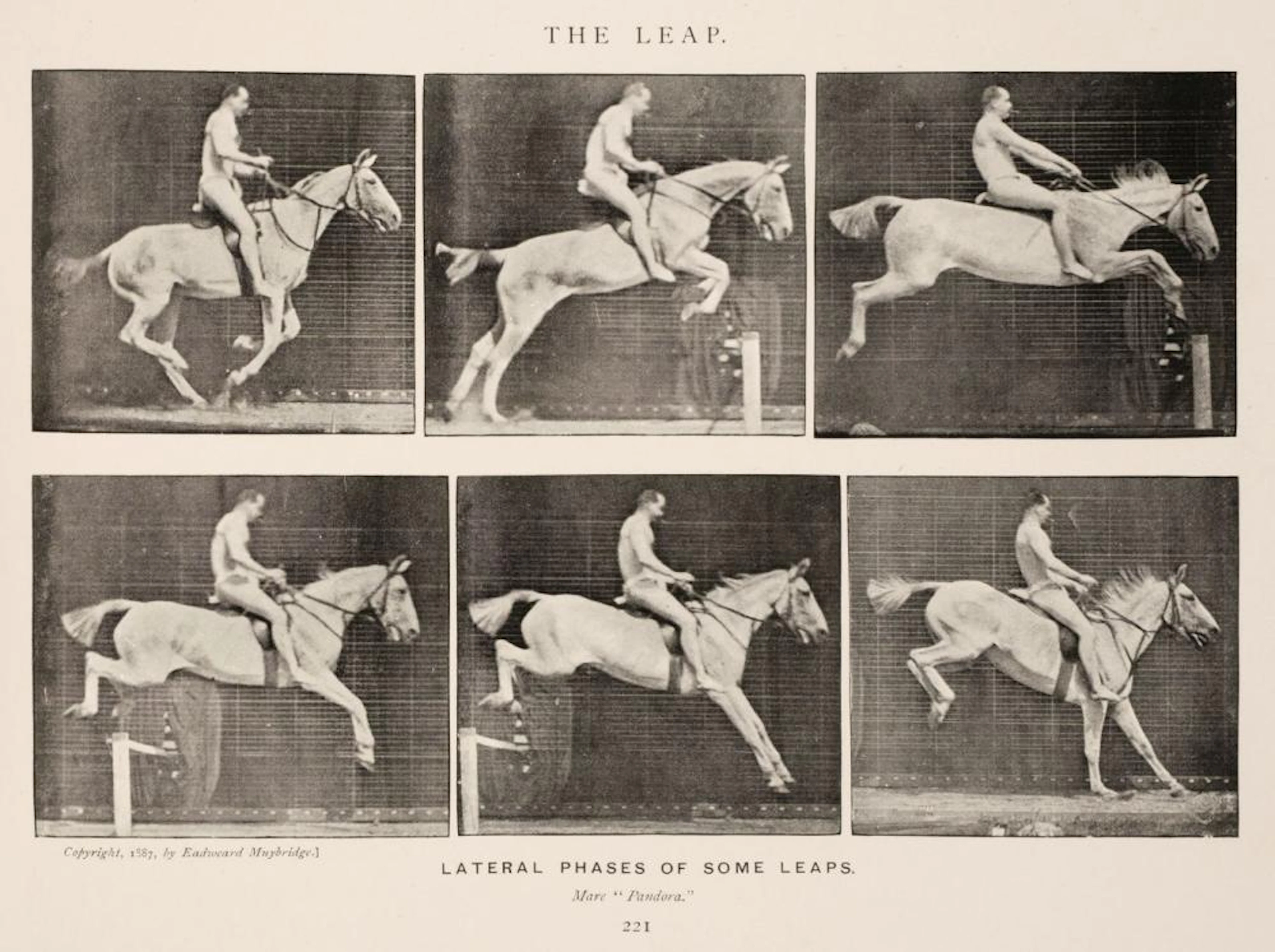 Muybridge (Eadweard)