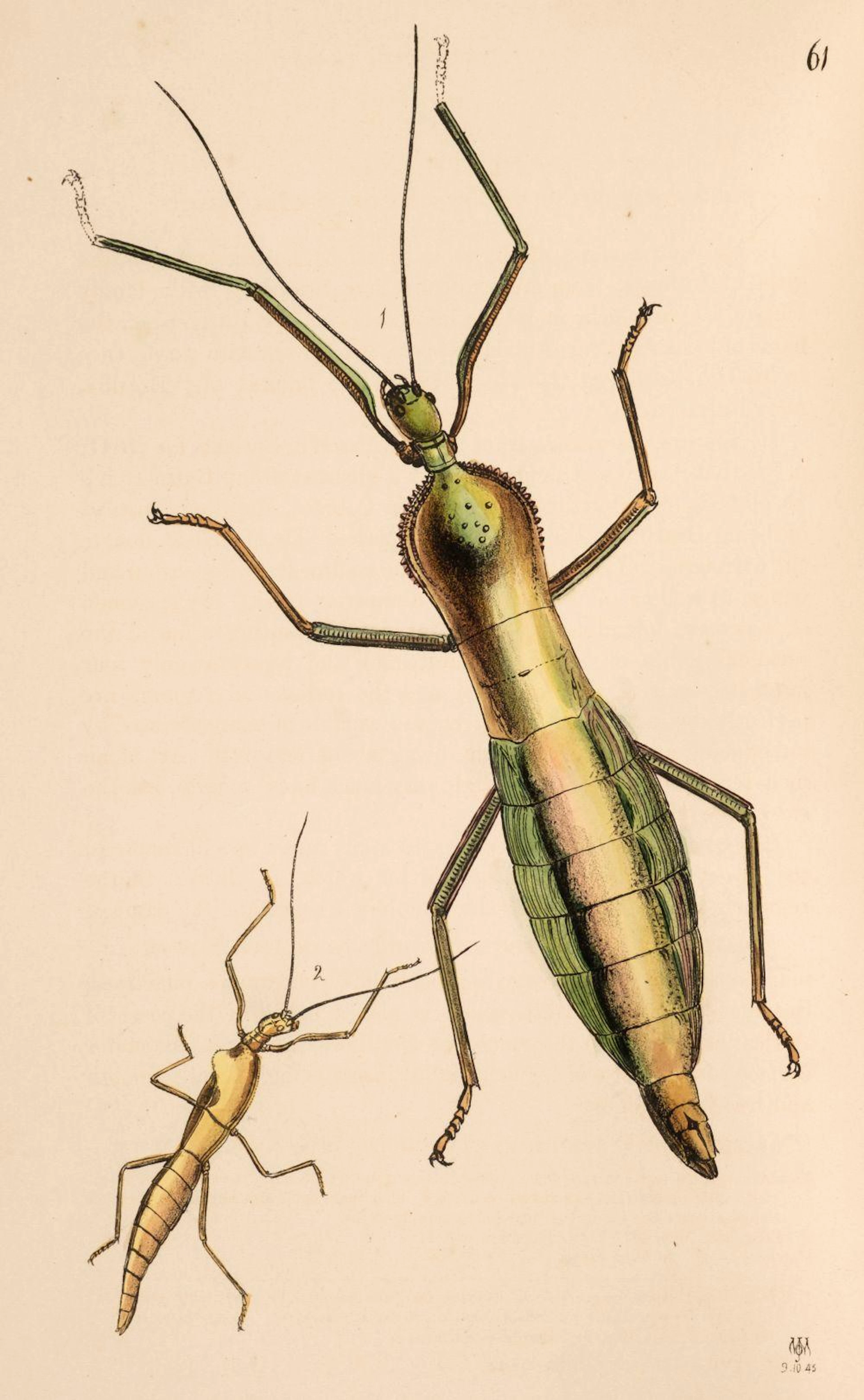 Westwood (John Obadiah) Arcana Entomologica, 2 volumes, 1845